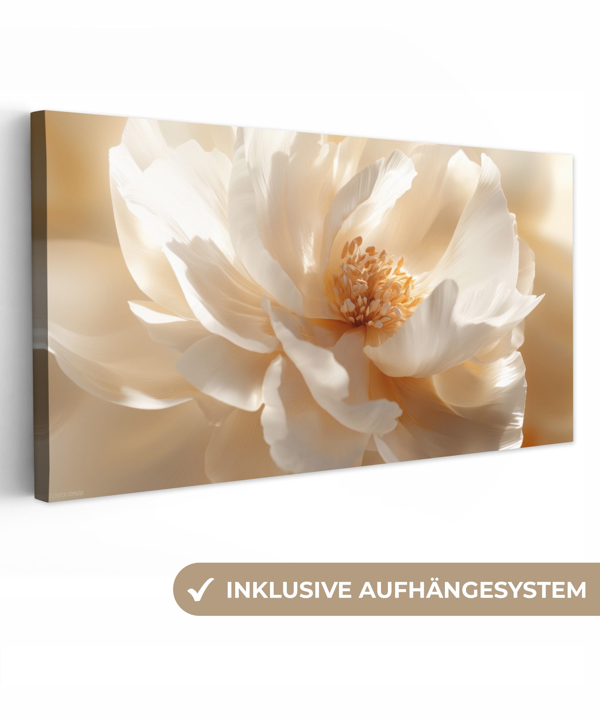 OneMillionCanvasses® Leinwandbild Panorama Nahaufnahme - Pfingstrose günstig online kaufen
