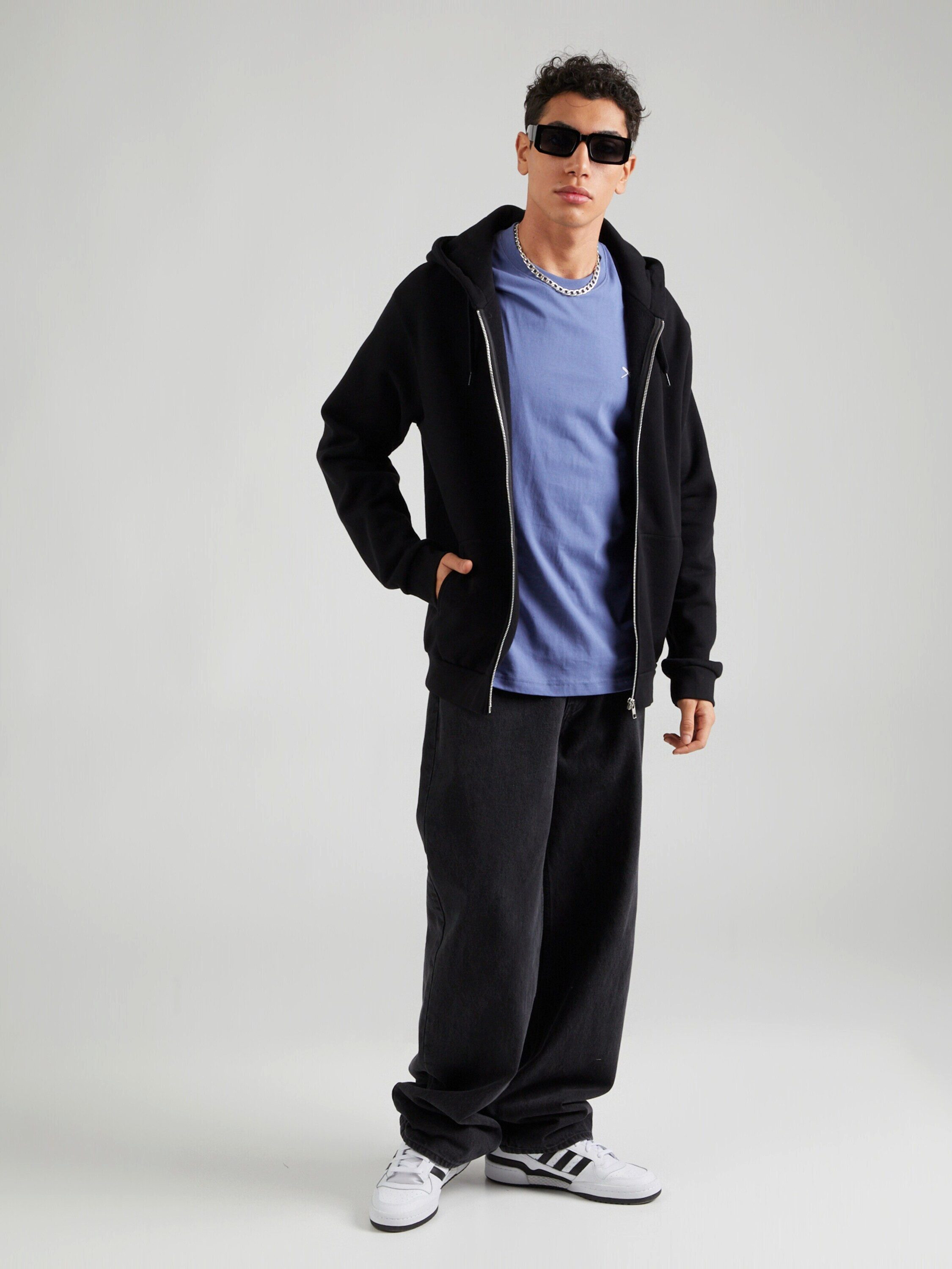 iriedaily Sweatjacke Mini Flag 2 (1-tlg)