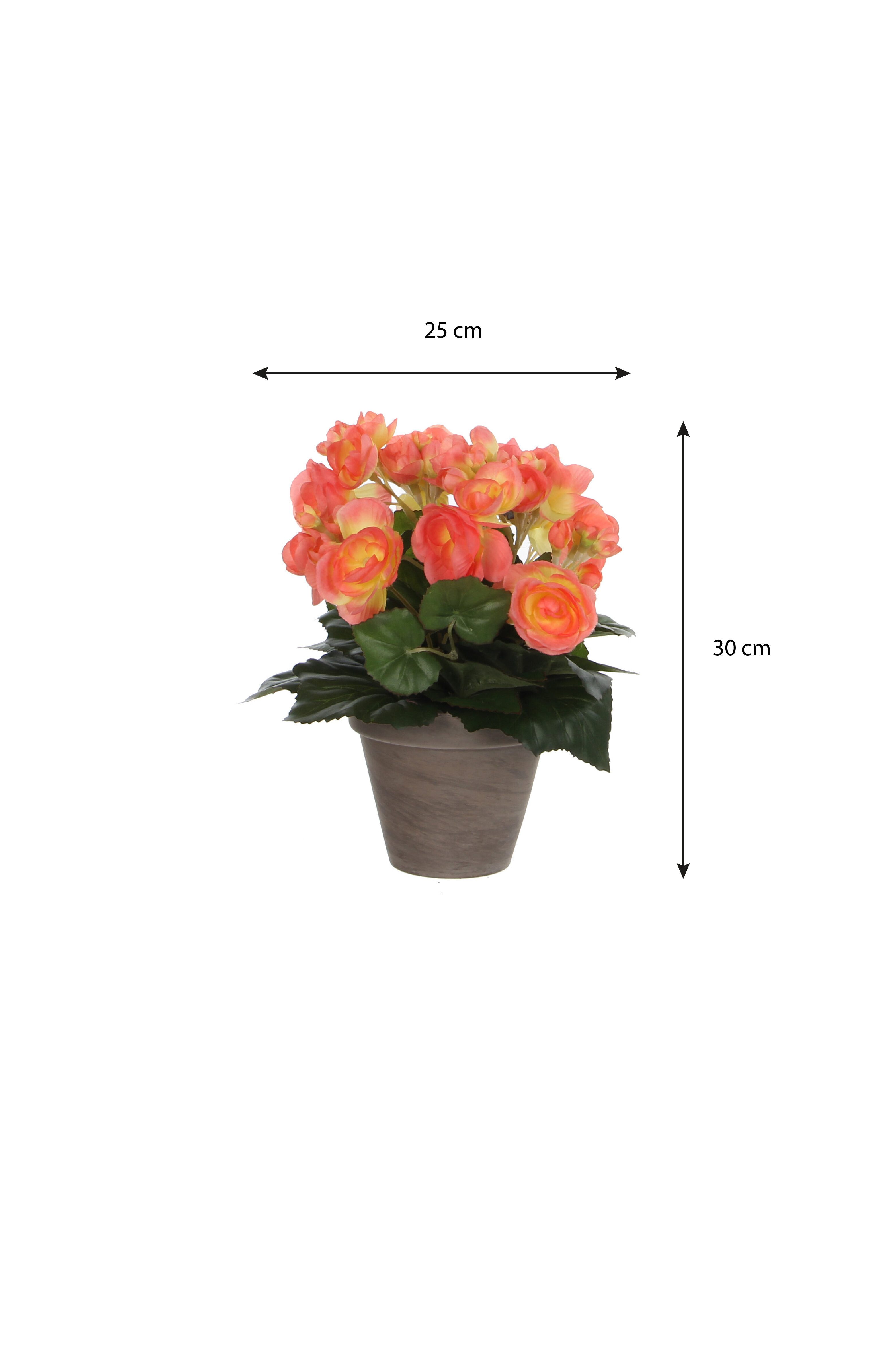 Kunstpflanze Mica Decorations Begonia lachs in Topf Stan grau d11,5cm - h30xd25cm, Mica Decorations, Höhe 30 cm