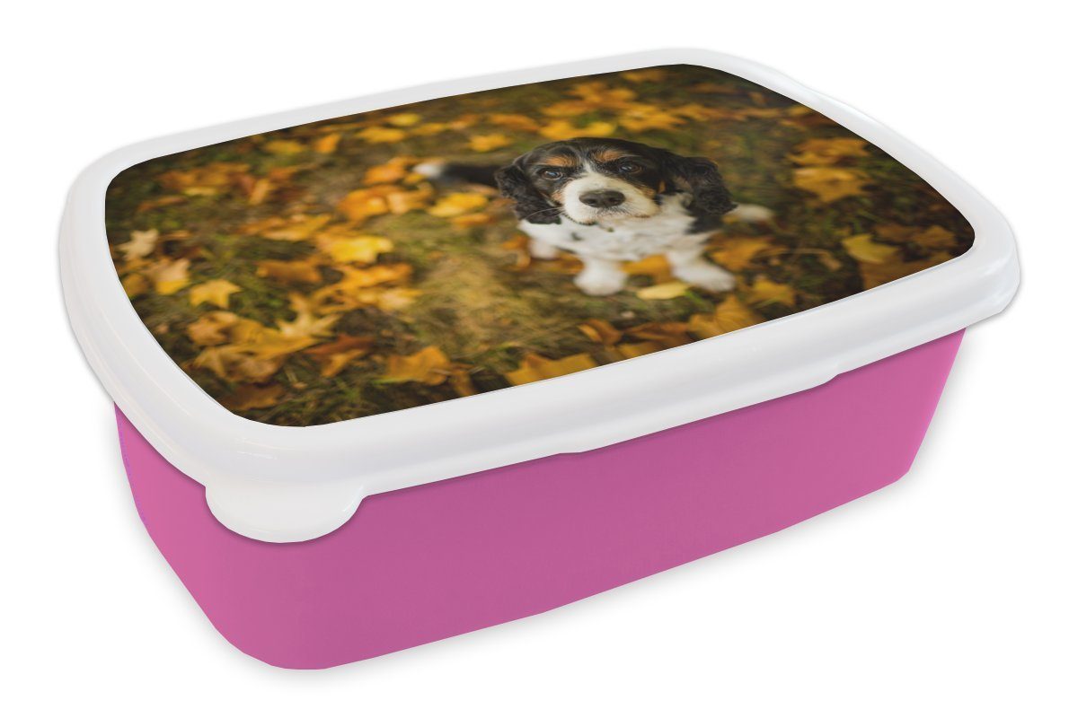 MuchoWow Lunchbox Cavalier King Charles Spaniel zwischen gelben und orangefarbenen, Kunststoff, (2-tlg), Brotbox für Erwachsene, Brotdose Kinder, Snackbox, Mädchen, Kunststoff rosa