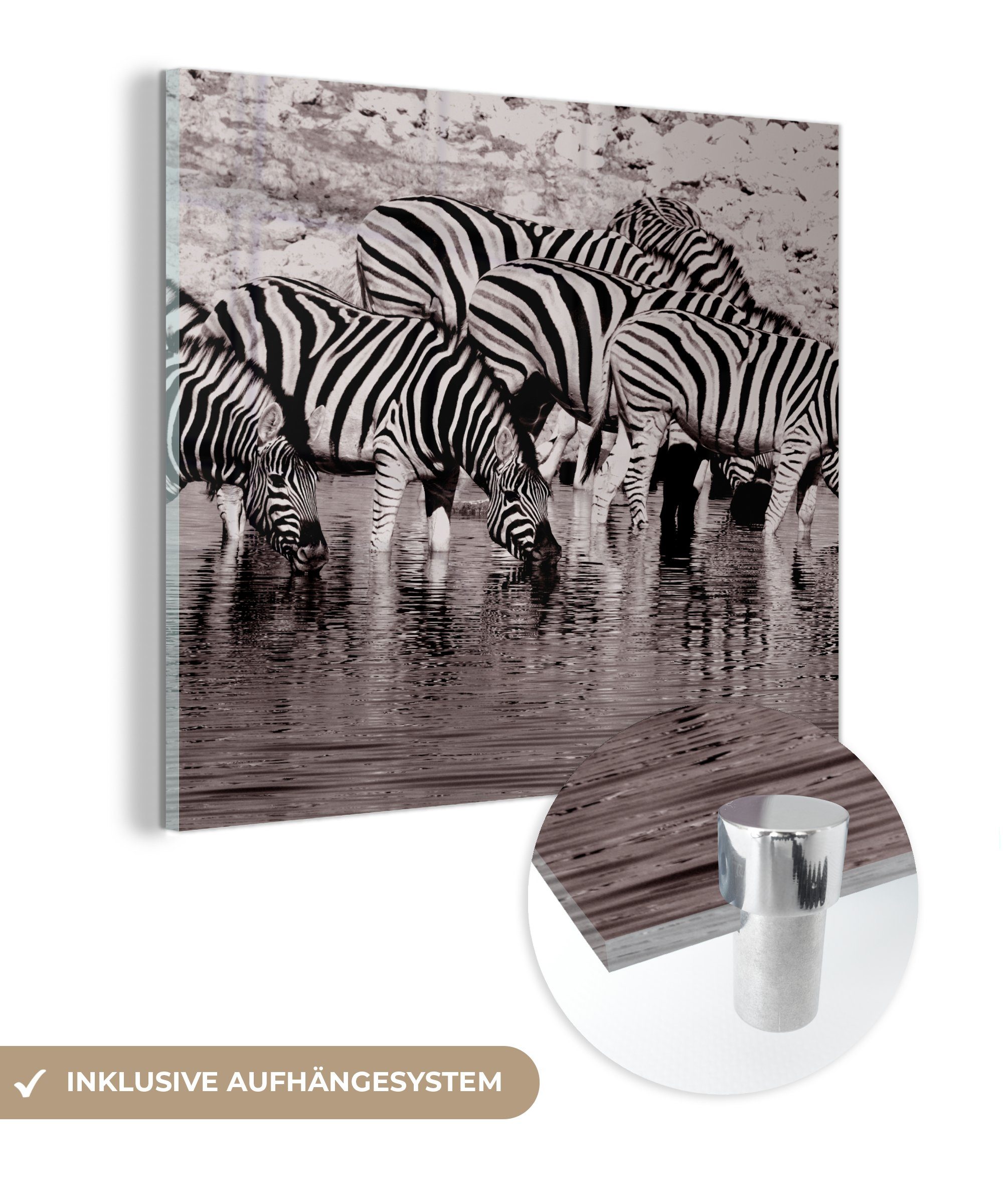 MuchoWow Acrylglasbild Zebras im Wasser, (1 St), Glasbilder - Bilder auf Glas Wandbild - Foto auf Glas - Wanddekoration