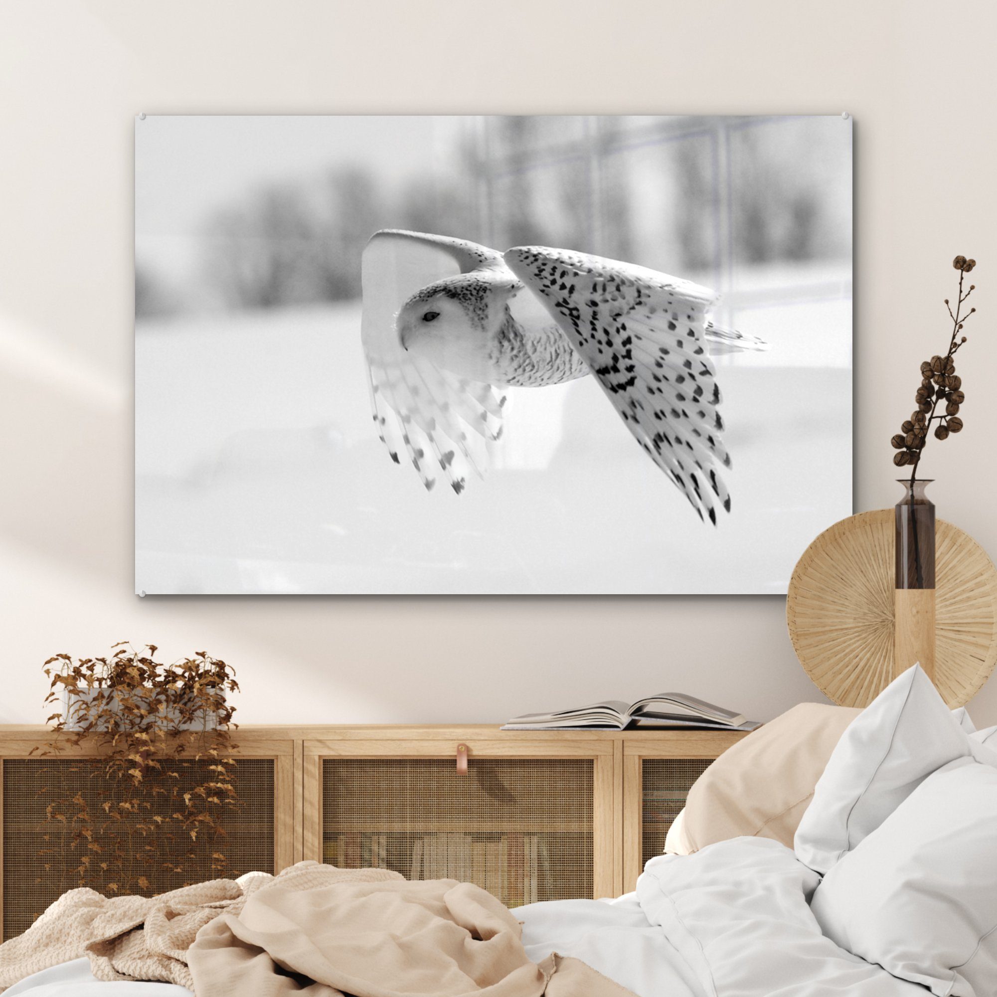 MuchoWow Acrylglasbild Schnee-Eule fliegt schwarz Acrylglasbilder Wohnzimmer - über St), Winterlandschaft & (1 und weiß, Schlafzimmer eine