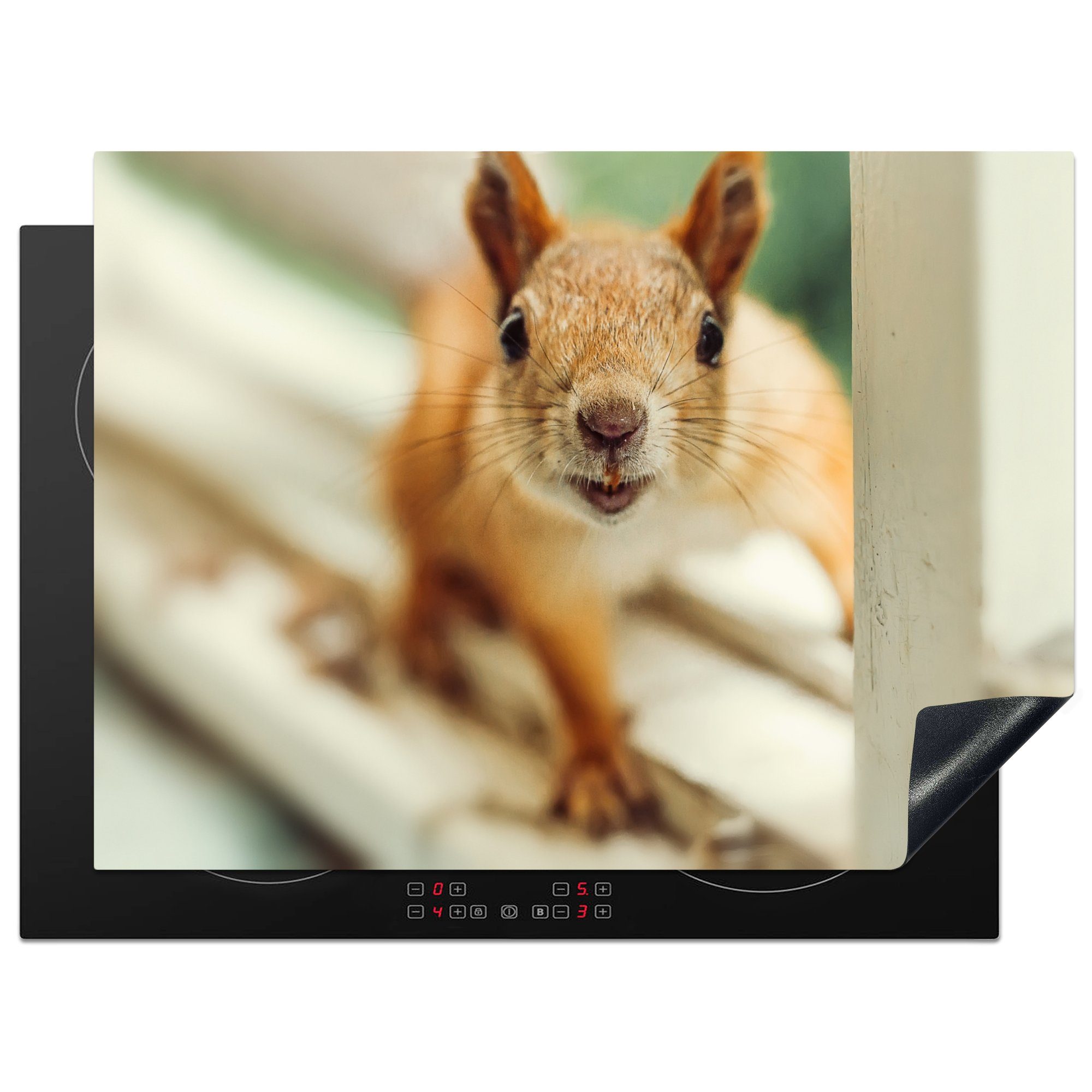 MuchoWow Herdblende-/Abdeckplatte Eichhörnchen - Fenster - Tiere, Vinyl, (1 tlg), 70x52 cm, Mobile Arbeitsfläche nutzbar, Ceranfeldabdeckung