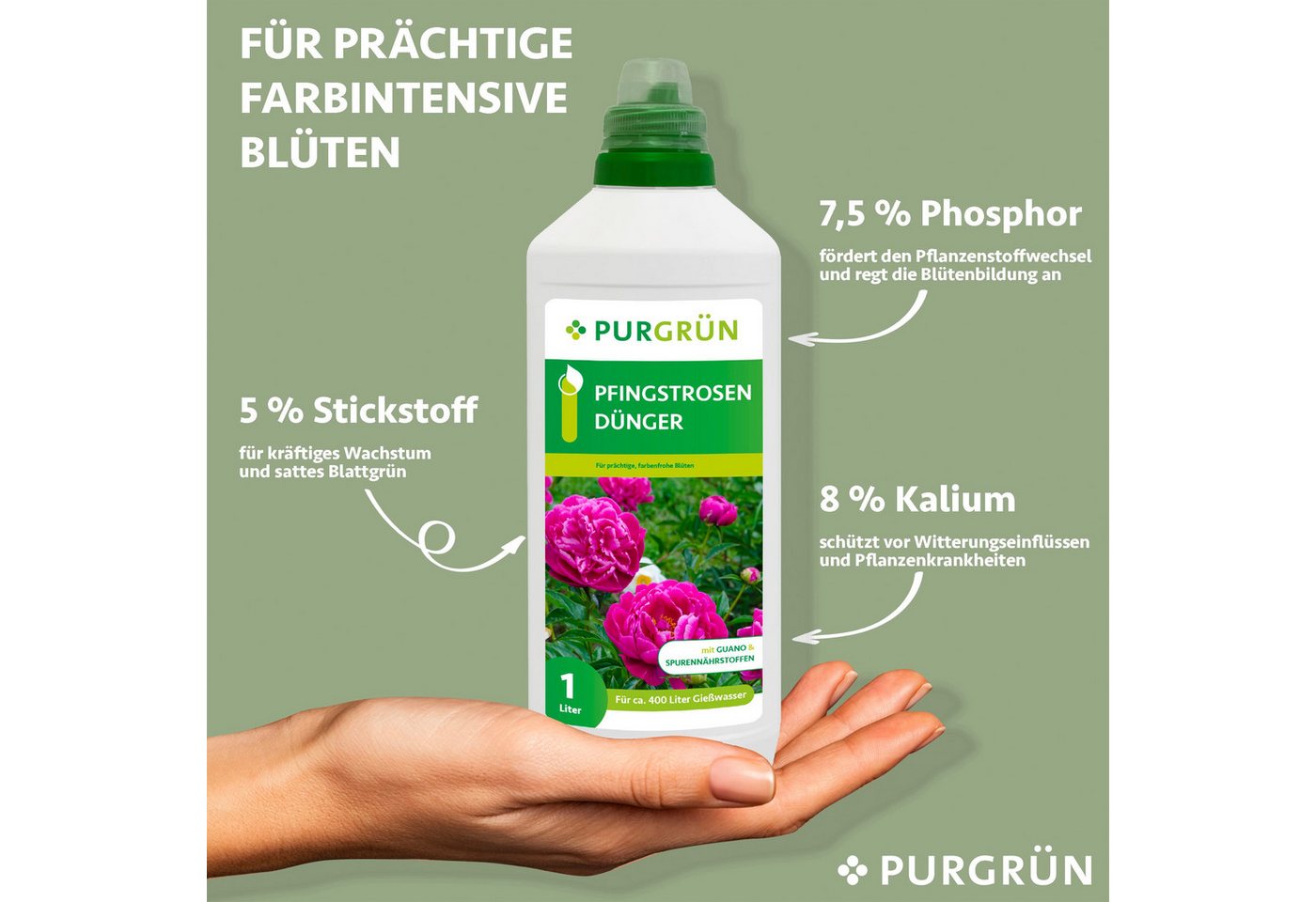 Thumbnail - Purgrün Blumendünger Purgrün Pfingstrosen Dünger, NPK 8+8+6, für Blüten, 1L, Flüssigdünger, Schnelle Wirkung für kräftig...