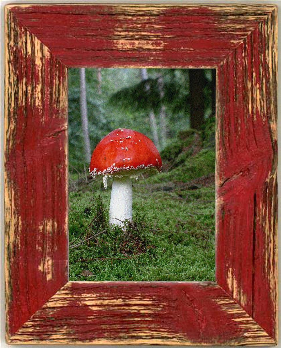 Mein Landhaus Bilderrahmen Mein Landhaus Bilderrahmen aus Alt-Holz Rot