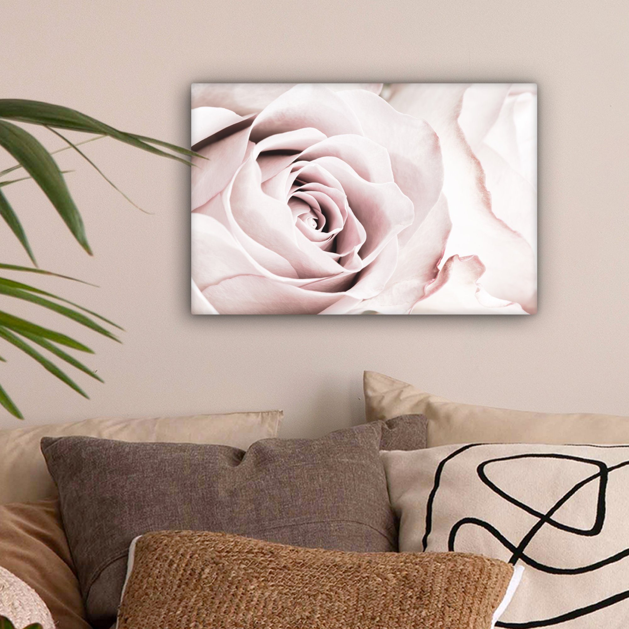 OneMillionCanvasses® Leinwandbild Blumen - Rose - Rosa - Botanisch, Fotodru günstig online kaufen