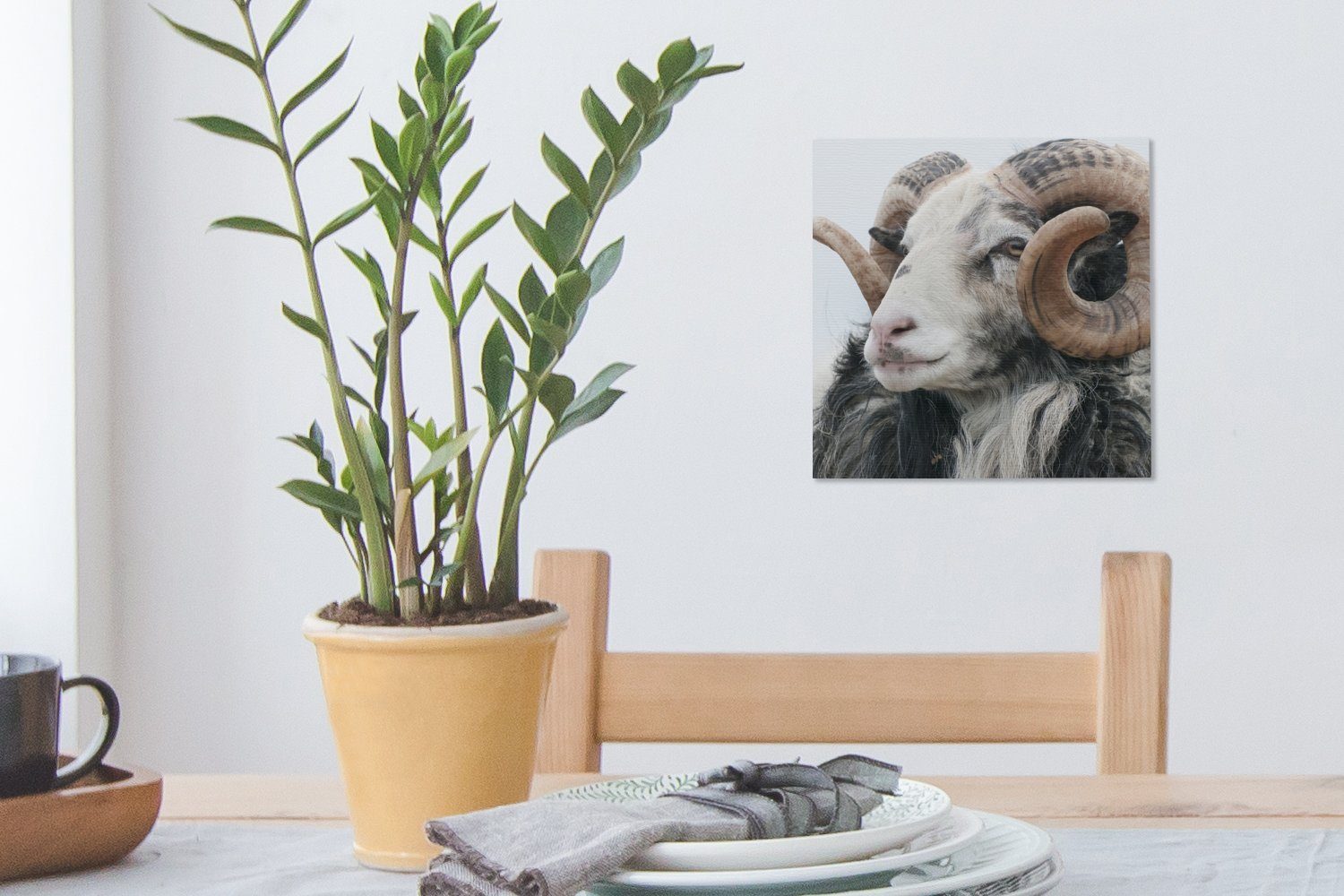 für - Horn bunt Schafe OneMillionCanvasses® St), Wohnzimmer Schlafzimmer Bilder - Tiere, Leinwandbild Leinwand (1