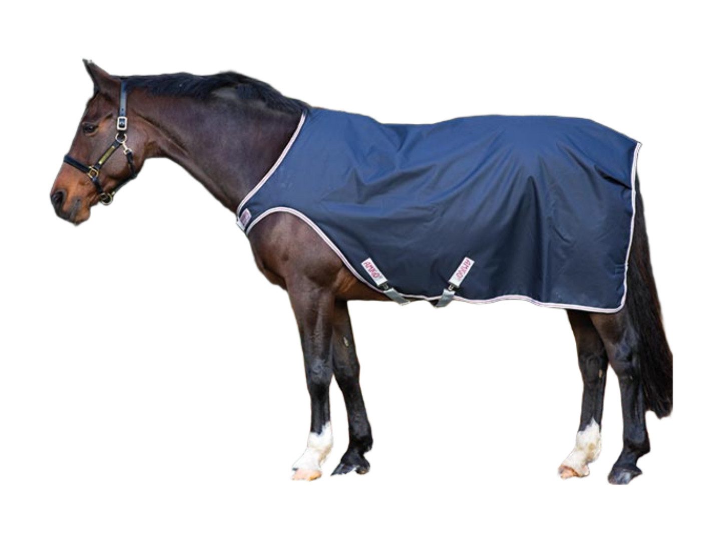 Horseware Führmaschinendecke Führmaschinendecke Amigo Walker 100g