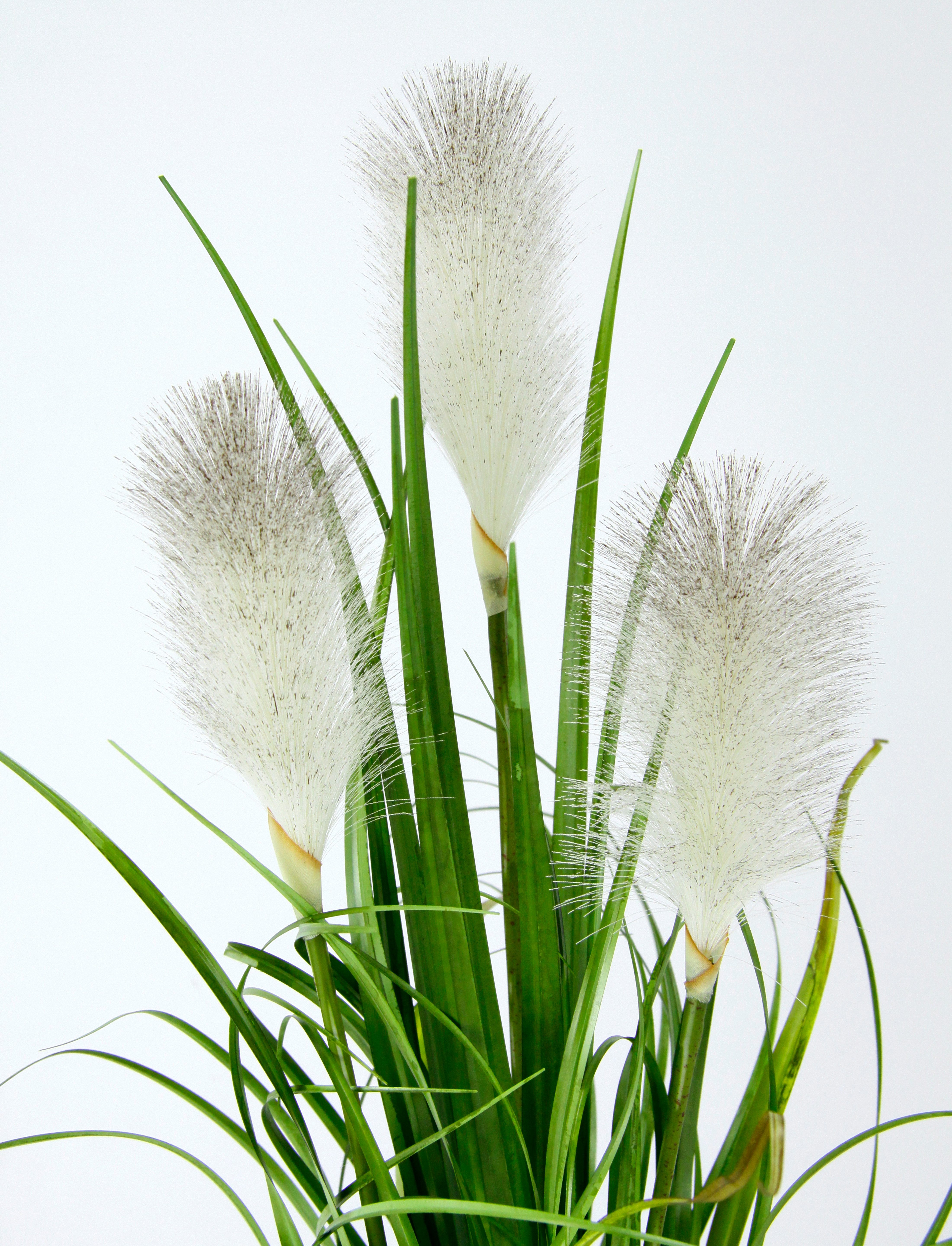 Kunstpflanze Pampasgras, I.GE.A., Höhe 55 cm, Mit Übertopf, künstliches Pampas Gras