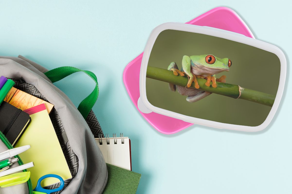 Frosch Kunststoff, Kunststoff (2-tlg), - Kinder, Brotbox Erwachsene, Mädchen, - Grün Snackbox, MuchoWow Zweig, für rosa Lunchbox Brotdose