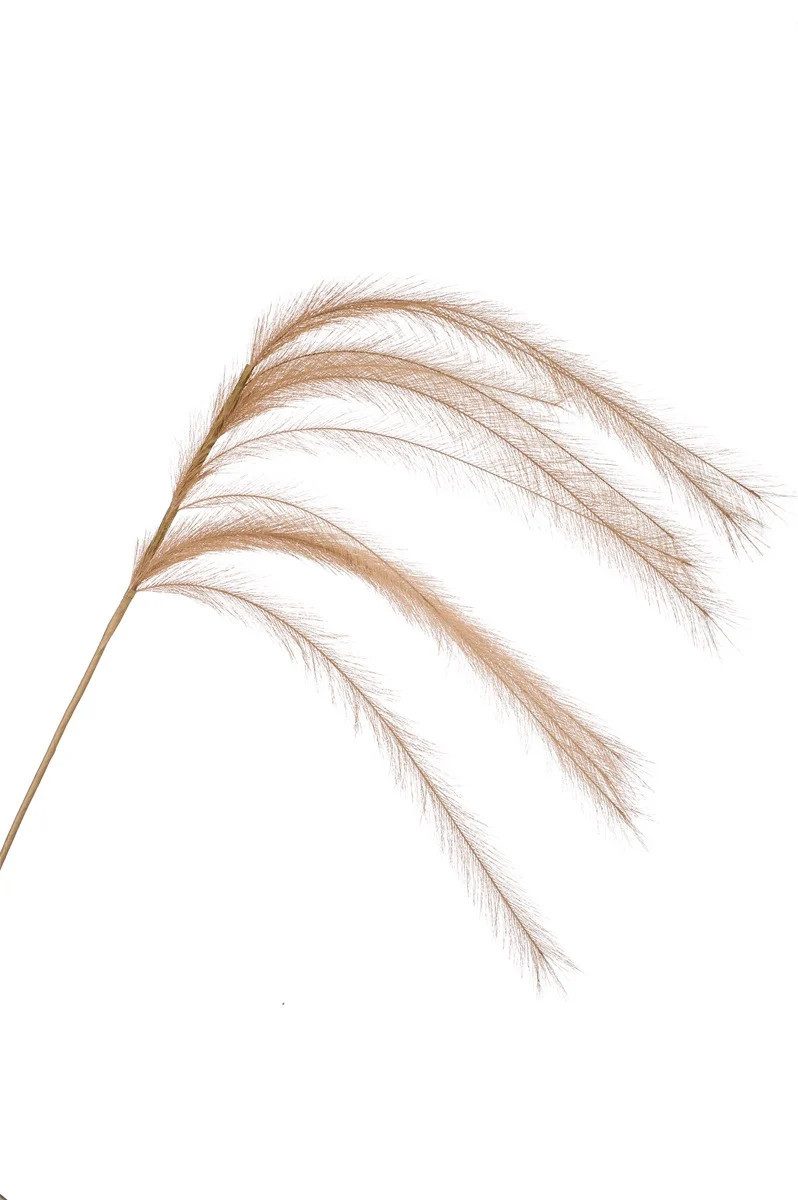 Kunstzweig Künstlicher Zweig Federgras Rispen LUMINIA, beige, 135cm Federgras, artplants, Höhe 135.0 cm