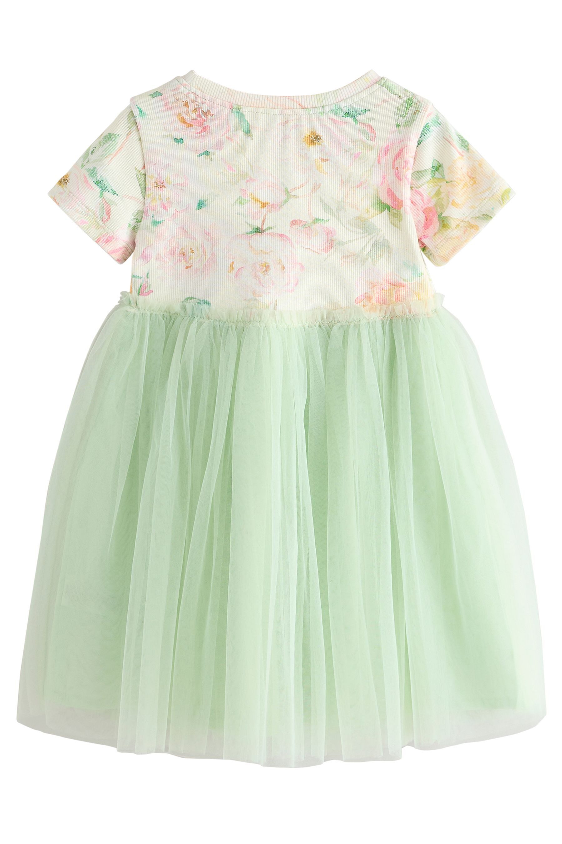 Next Partykleid Geripptes Partykleid mit Mesh günstig online kaufen