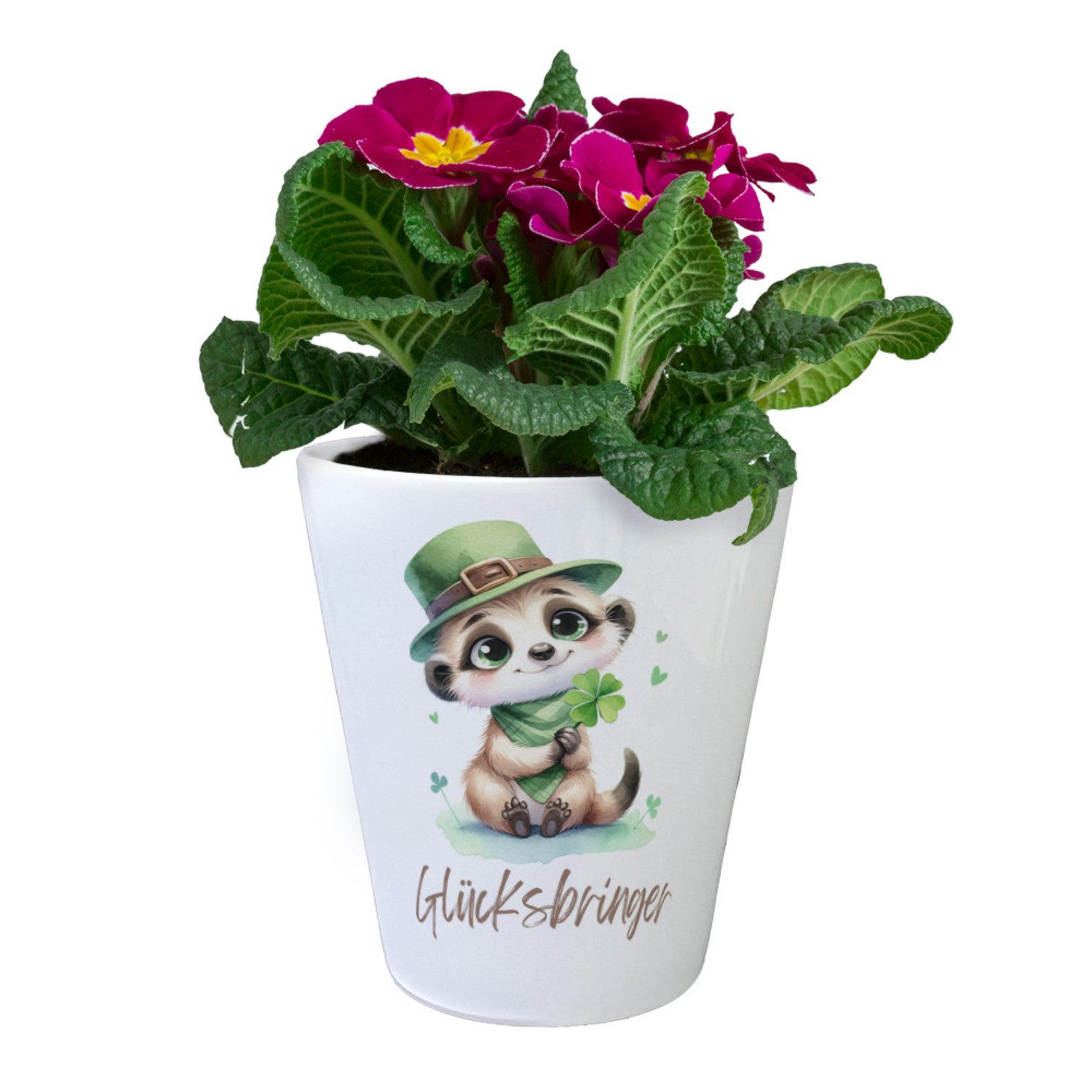 speecheese Blumentopf Erdmännchen Glücksbringer Blumentopf günstig online kaufen