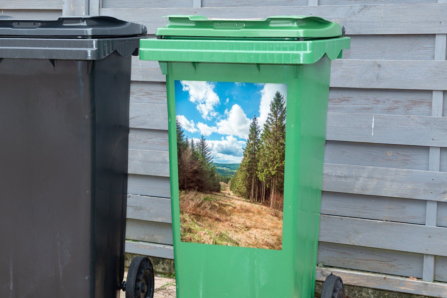 Mülltonne, England St), Northumberland-Nationalpark Container, (1 in im Kiefernwälder MuchoWow Mülleimer-aufkleber, Sticker, Wandsticker Abfalbehälter
