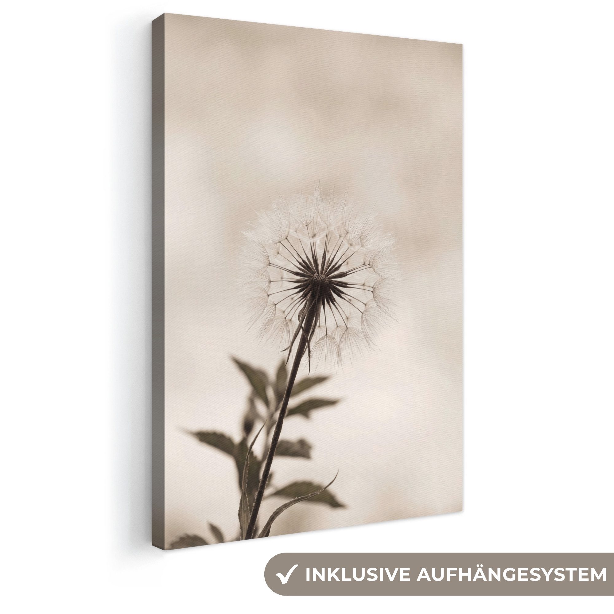 OneMillionCanvasses® Leinwandbild Pusteblume - Minimalistisch - Weiß, Fotodruck (1 St), Leinwand Canvas Wandbild, Wanddekoration 20x30 cm