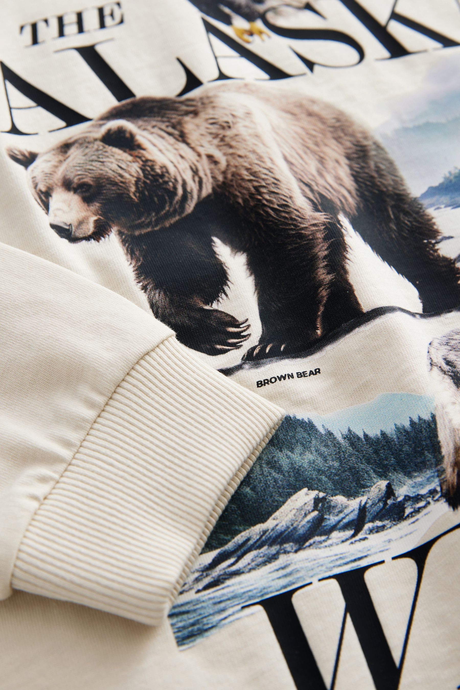 Next Langarmshirt Langärmeliges Grafik-T-Shirt (1-tlg)