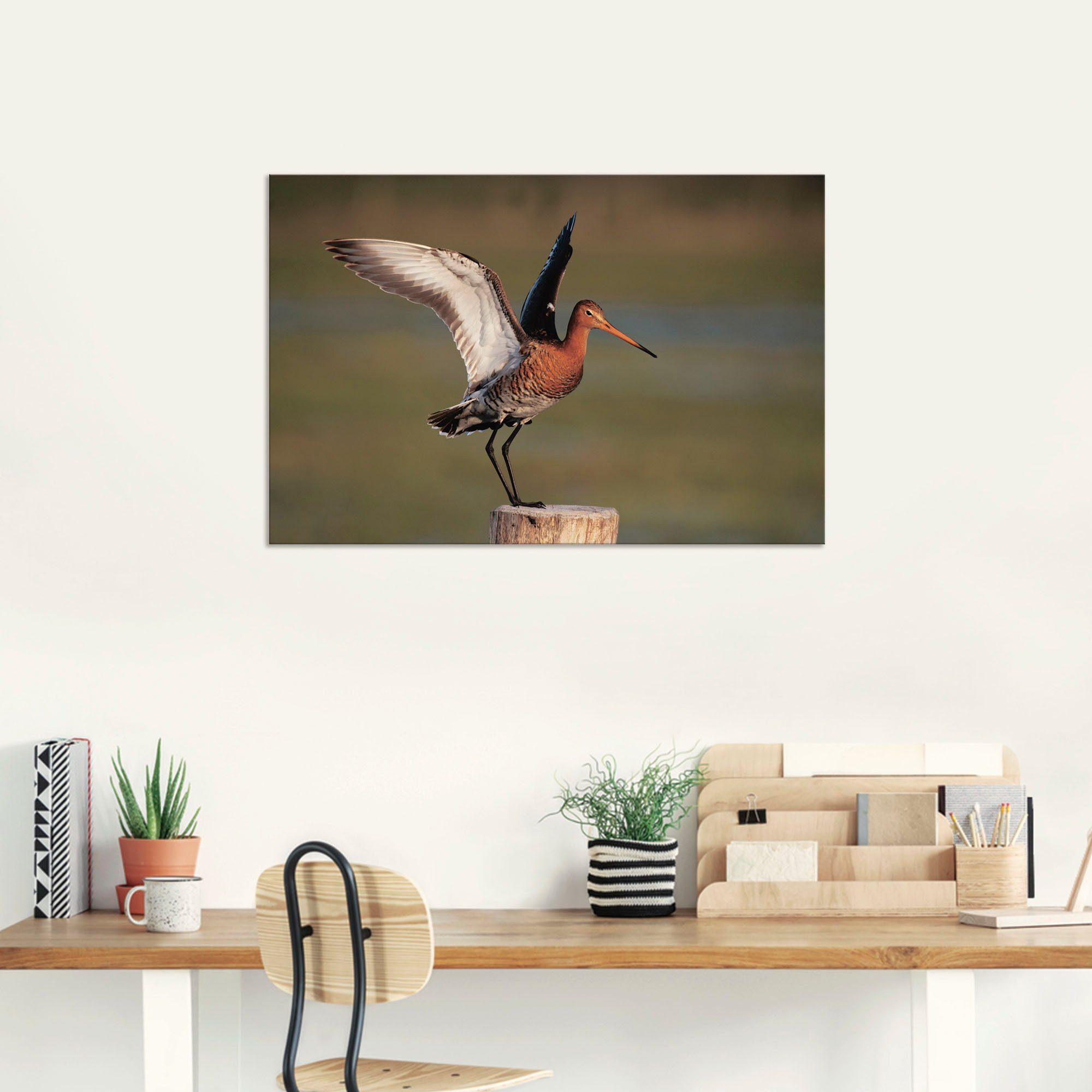 Artland Wandbild »Uferschnepfe im Landeanflug«, Vogelbilder (1 Stück), in vielen Größen & Produktarten - Alubild / Outdoorbild für den Außenbereich, Leinwandbild, Poster, Wandaufkleber / Wandtattoo auch für Badezimmer geeignet-kaufen