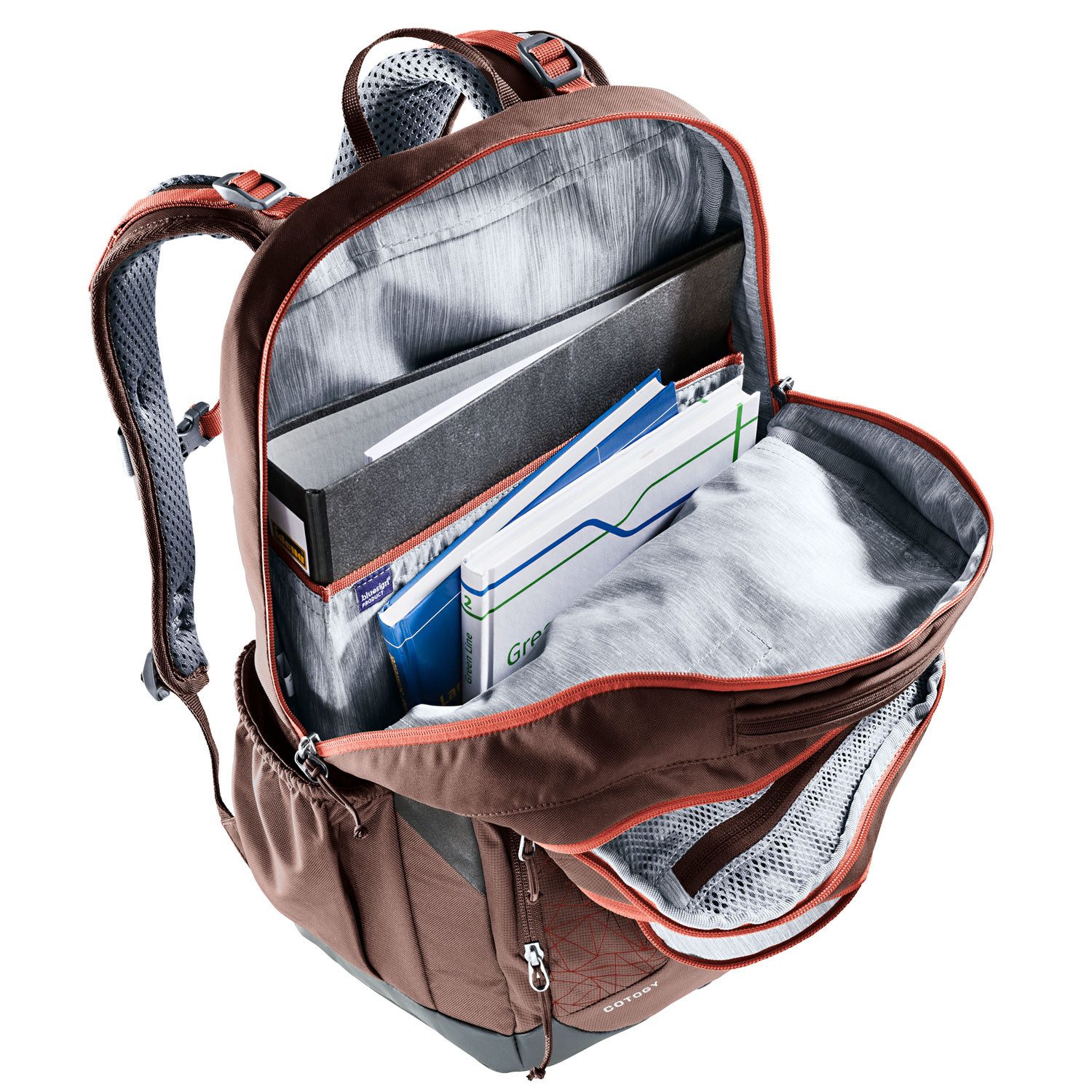 deuter Freizeitrucksack Deuter Schul-/Freizeitrucksack Cotogy raisin (1-tlg)