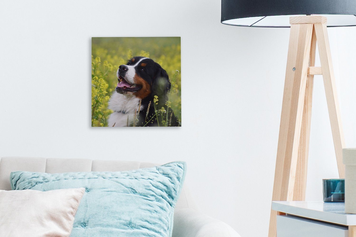 OneMillionCanvasses® Leinwandbild Ein Berner gelben Wohnzimmer (1 Sennenhund Blumen, Schlafzimmer für Bilder St), zwischen Leinwand