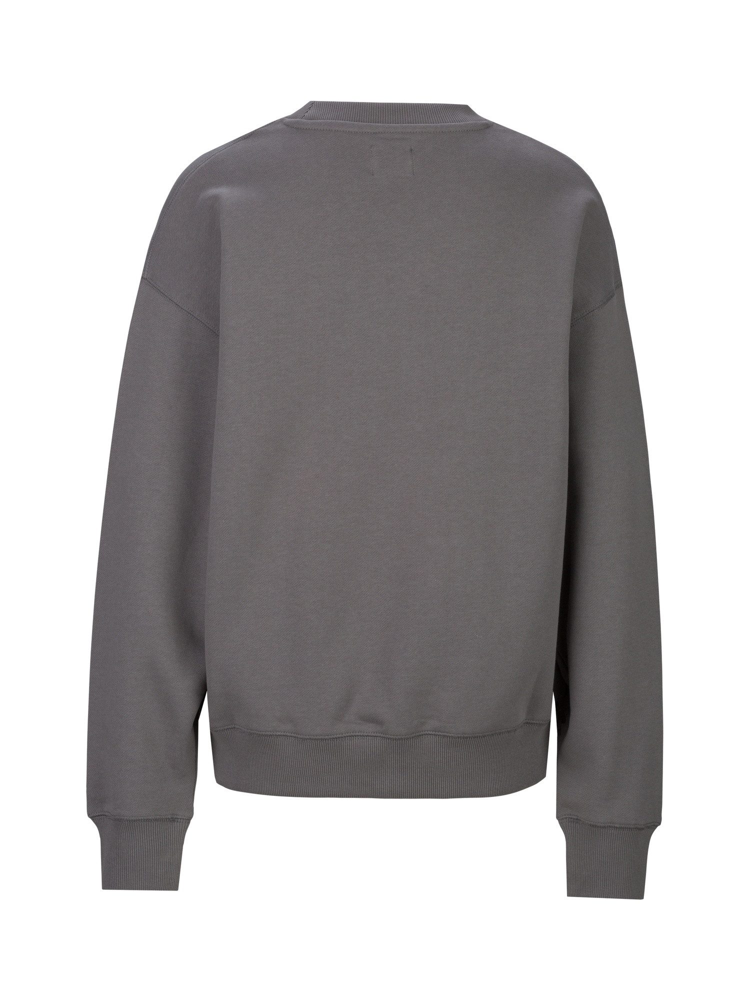 Replay Sweatshirt Big Not Ordinary günstig online kaufen