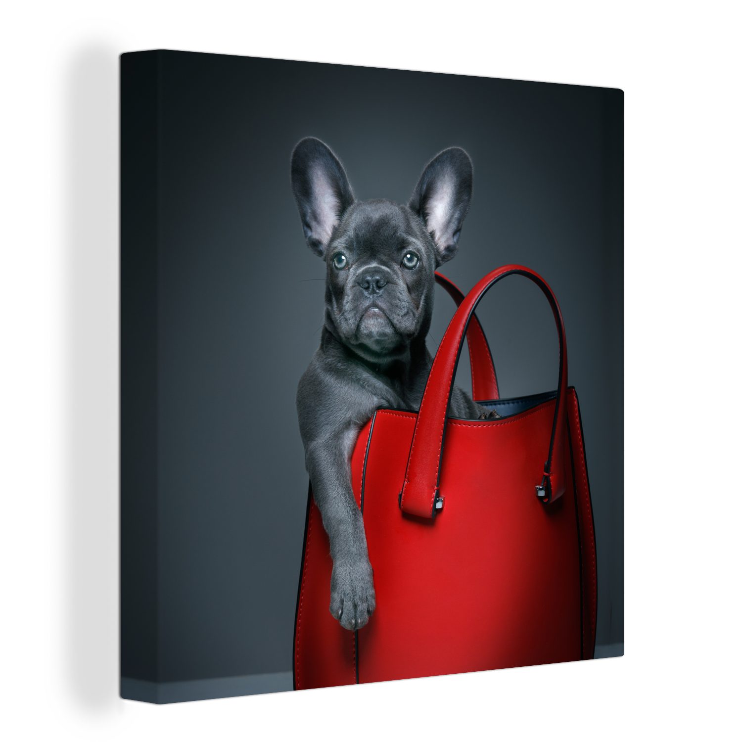 OneMillionCanvasses® Leinwandbild Hund - Lustig - Tasche - Kinder - Jungen - Mädchen - Kinder, (1 St), Leinwand Bilder für Wohnzimmer Schlafzimmer