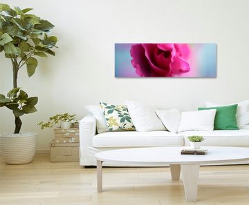 Sinus Art Leinwandbild Naturfotografie  Pinke Blüte auf Leinwand exklusives Wandbild moderne Fotografie für ihre Wand in v