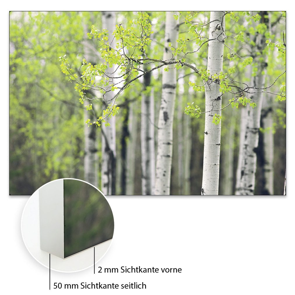 Akustikbild-Manufaktur Bild mit Rahmen Akustikbild "Birke 4" - Ihre Lösung für bessere Raumakustik, Schallschutzbild mit sehr guten Schallabsorptions-Eigenschaften