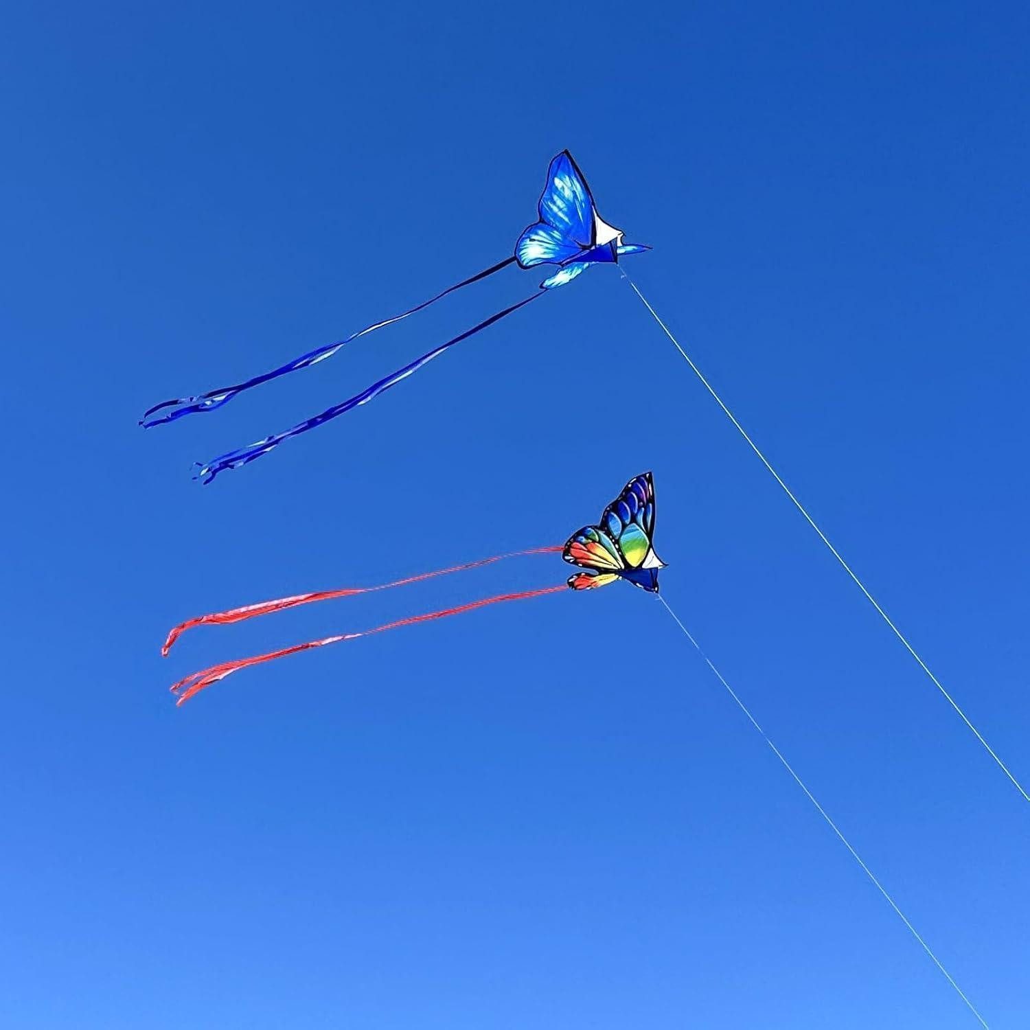 LuxusKollektion Flug-Drache Drachen Schmetterling Kite Set für Kinder und Erwachsene