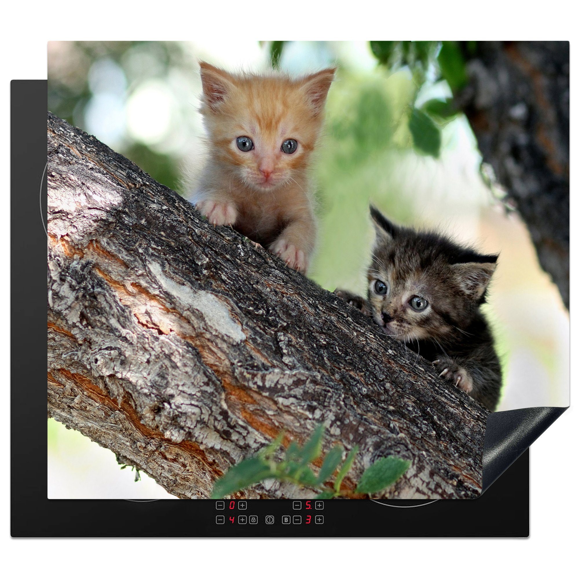 MuchoWow Herdblende-/Abdeckplatte Zwei Kätzchen klettern auf den Baum, Vinyl, (1 tlg), 60x52 cm, Mobile Arbeitsfläche nutzbar, Ceranfeldabdeckung