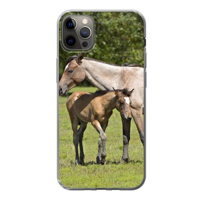 MuchoWow Handyhülle Pferde - Gras - Schatten Handyhülle Apple iPhone 12 Pro Max Smartphone-Bumper Print Handy