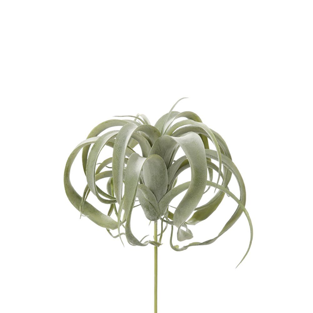 Kunstpflanze FINK Kunstblume Tillandsia - grün - T. 26cm, Fink