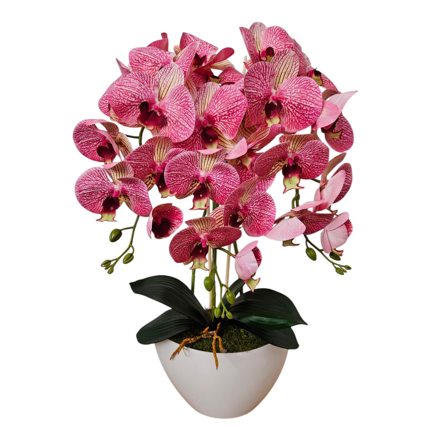 Kunstorchidee Orchidee, damich, Höhe 60 cm, Künstliche Orchidee 3-stämmige günstig online kaufen