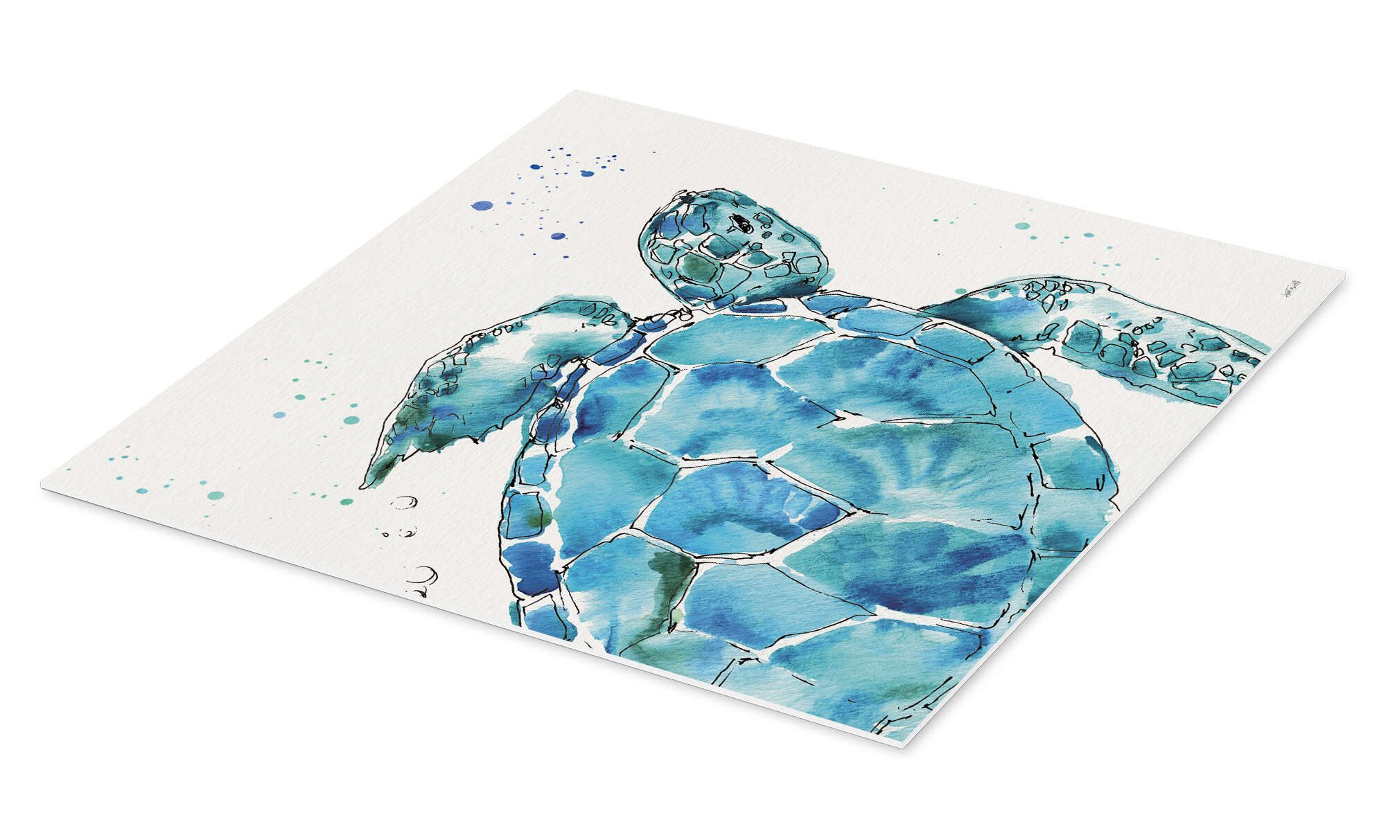 Posterlounge Wandbild Schildkröte IX, Anne Tavoletti, erhältlich als Poster, Leinwandbild, Wandsticker oder Acrylglasbild