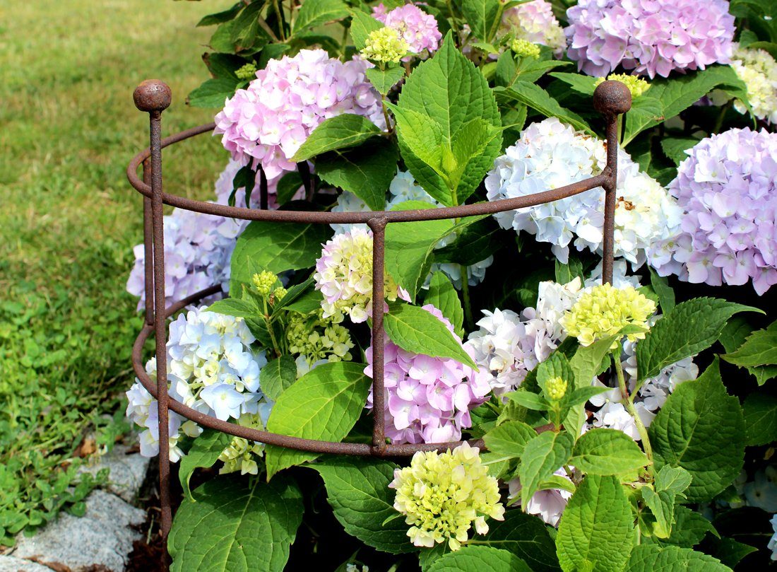 LB H&F Lilienburg Seerose Staudenhalter Staudenstütze Strauchstütze Pflanze günstig online kaufen