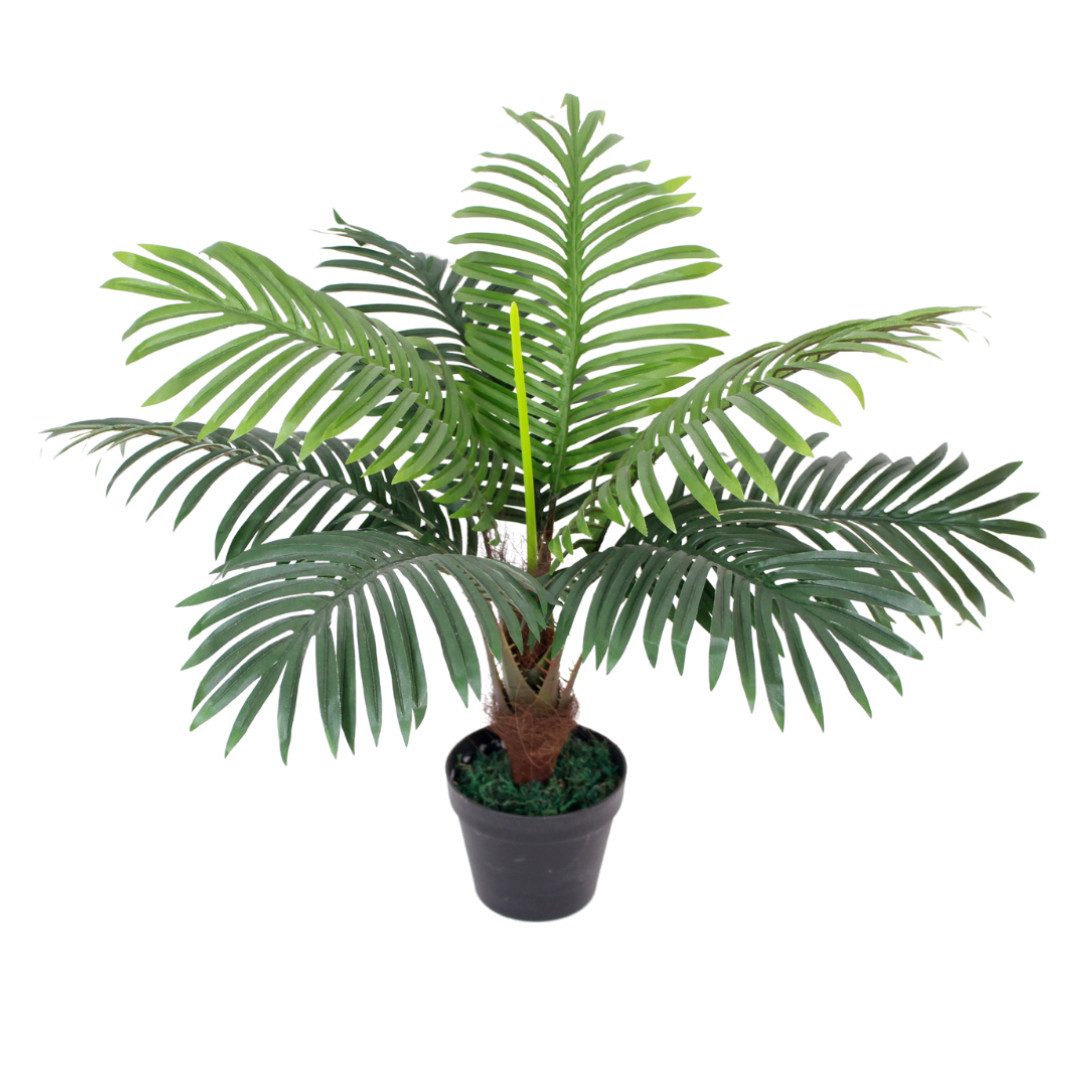 Kunstpalme SMARAGDLINE künstliche Palmen in verschiedenen Ausführungen und Größen künstliche Palmen, Lacers, Höhe 60 cm, realistische Haptik, umweltfreundlich, naturgetreu, tierfreundlich