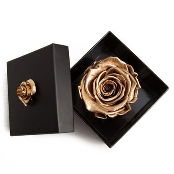 Kunstblume 1 Infinity Rose haltbar 3 Jahre Rose in Box mit Blumendeckel Rose, ROSEMARIE SCHULZ Heidelberg, Höhe 6.5 cm, Echte Rose haltbar bis zu 3 Jahre
