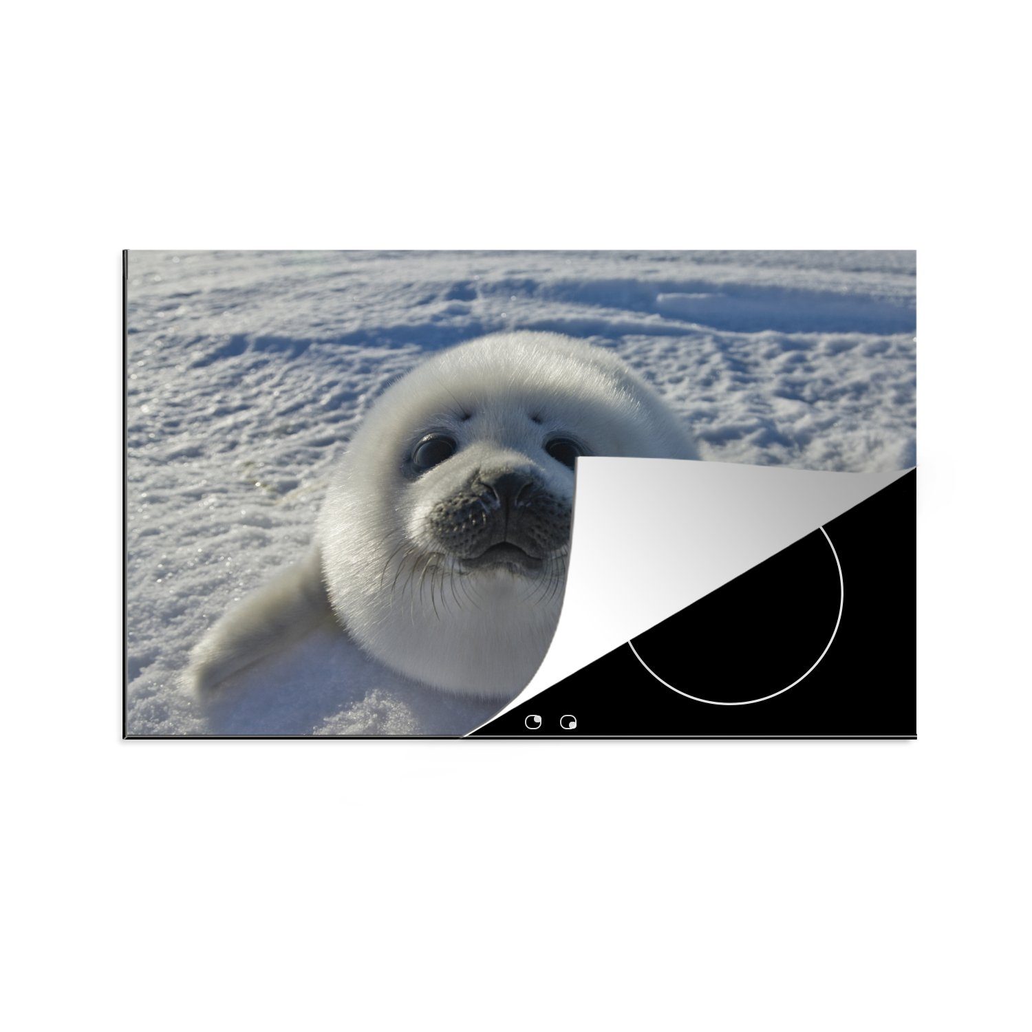 MuchoWow Herdblende-/Abdeckplatte Babyrobbe im Schnee, Vinyl, (1 tlg), 81x52 cm, Induktionskochfeld Schutz für die küche, Ceranfeldabdeckung