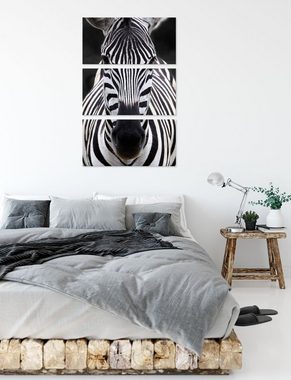 Pixxprint Leinwandbild Zebra Porträt, Zebra Porträt 3Teiler (120x80cm) (1 St), Leinwandbild fertig bespannt, inkl. Zackenaufhänger
