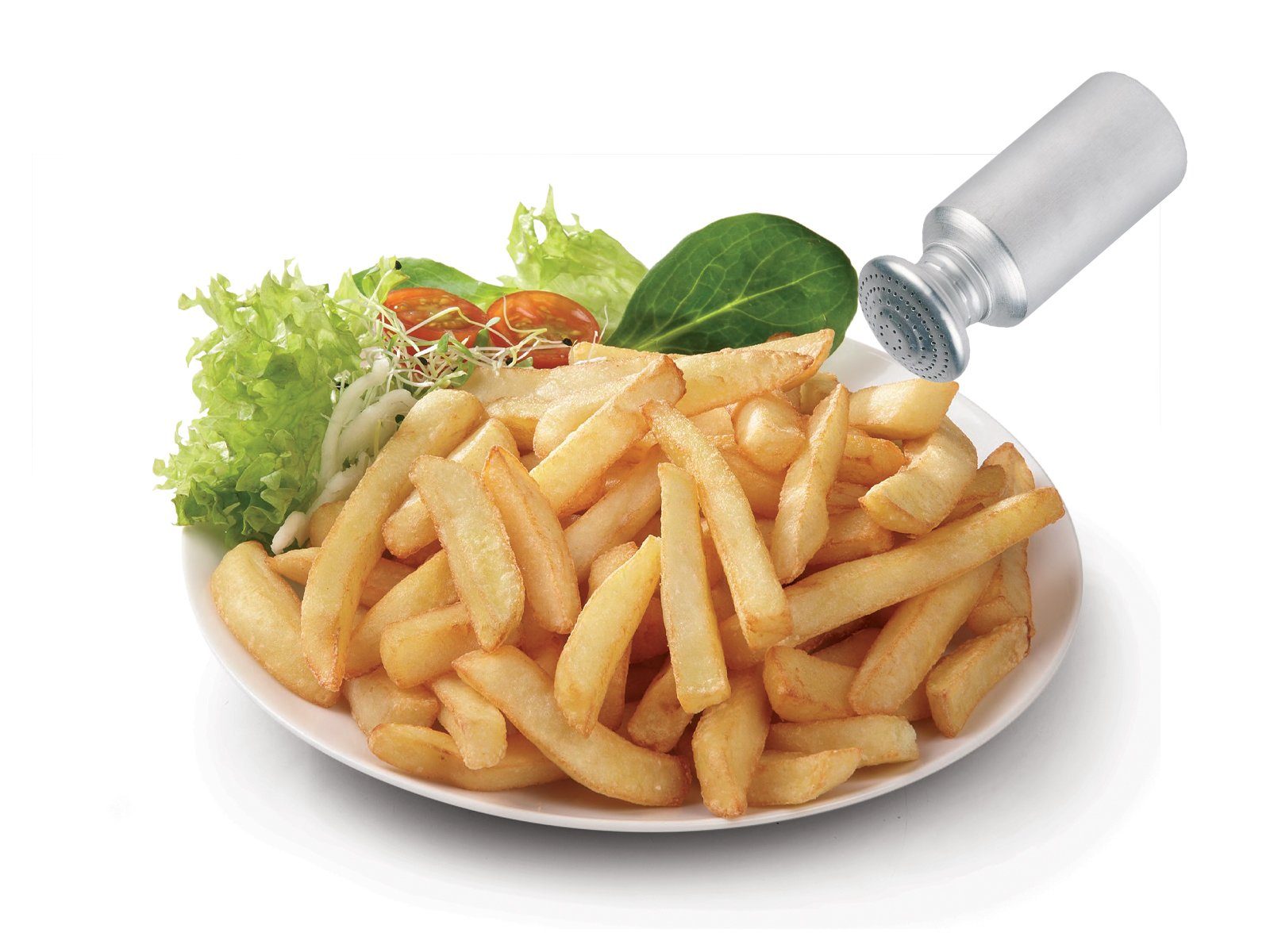 Salzstreuer & Domo 4Ltr. Pommes & Frittöse XL 3000 mit frittieren W, Schnitzel Kaltzonenfritteuse, Fett