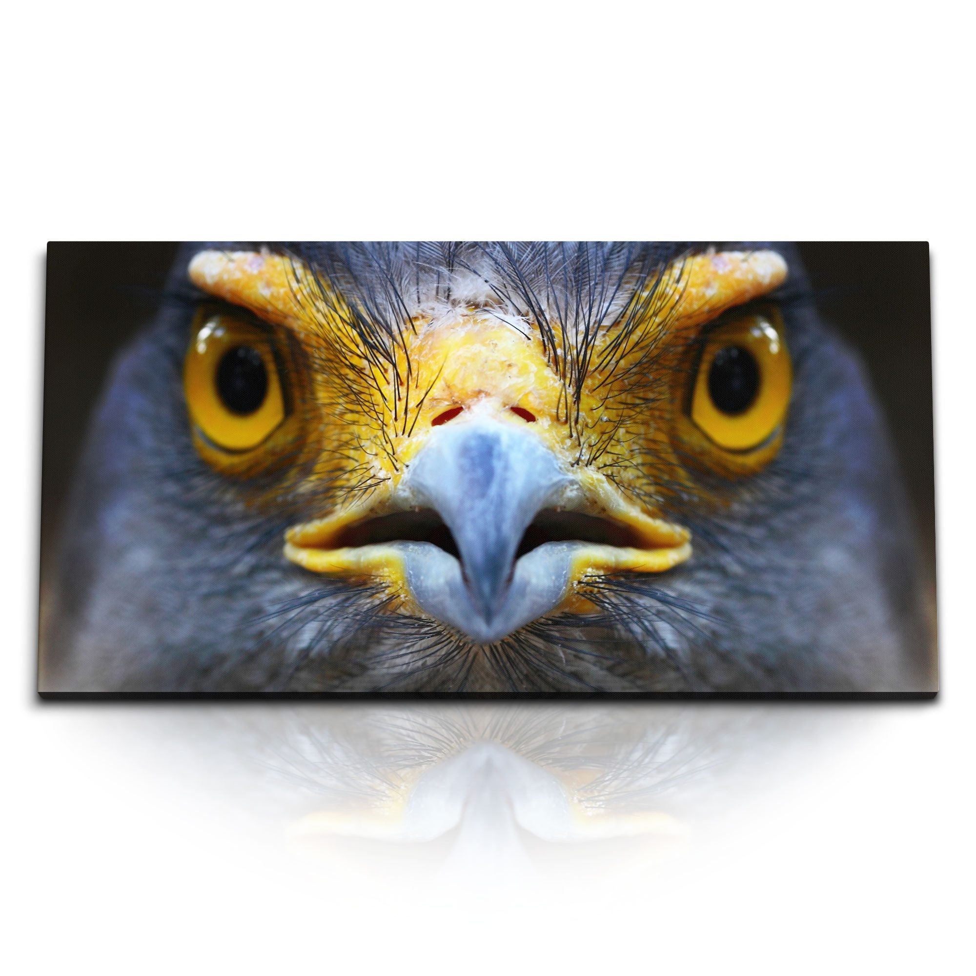 Leinwandbild Kunstdruck Bilder 120x60cm Schlangenweihe Vogel Tierfotografie Porträt