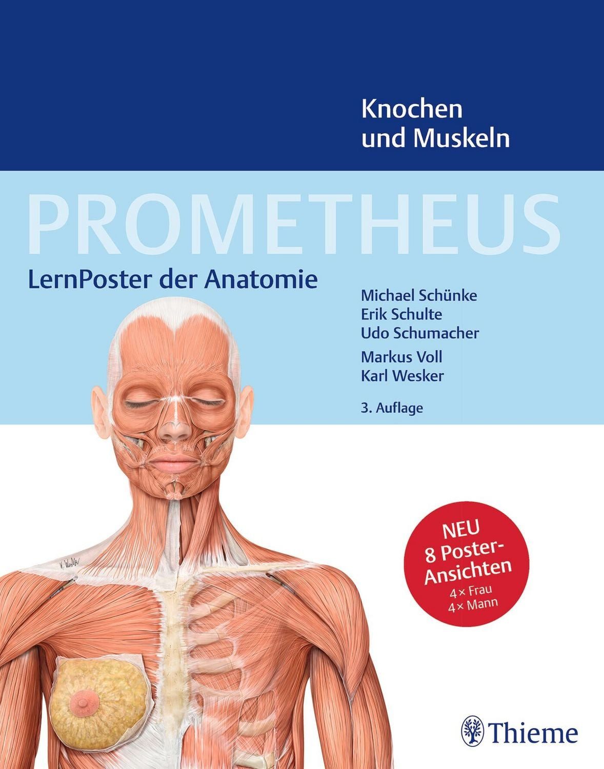 PROMETHEUS LernPoster der Anatomie, Knochen und Muskeln / Michael Schünke, Erik Schulte, Udo Schumacher