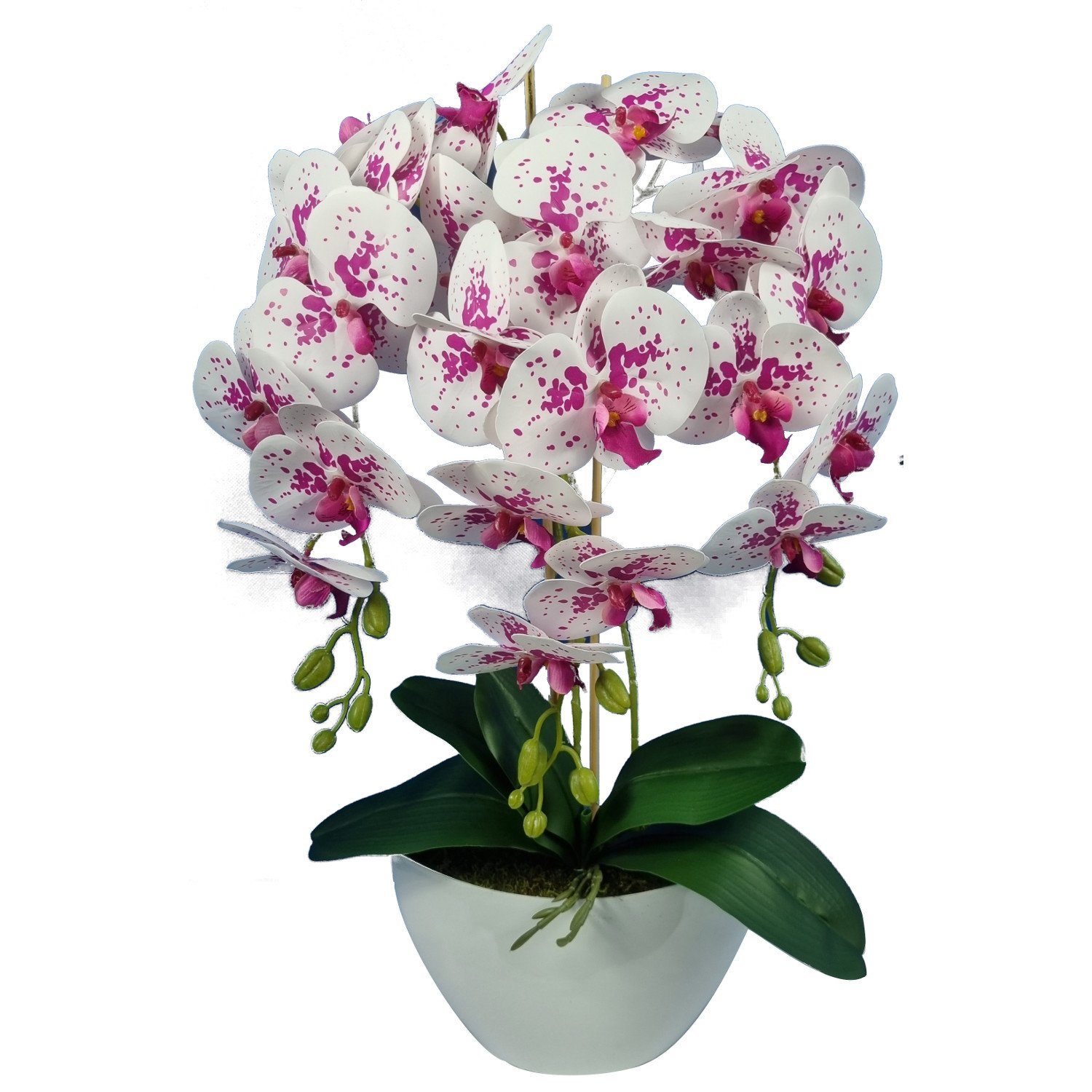 Kunstblume 3pgof Orchidee, damich, Höhe 60 cm, Künstliche Orchidee Höhe ca. günstig online kaufen