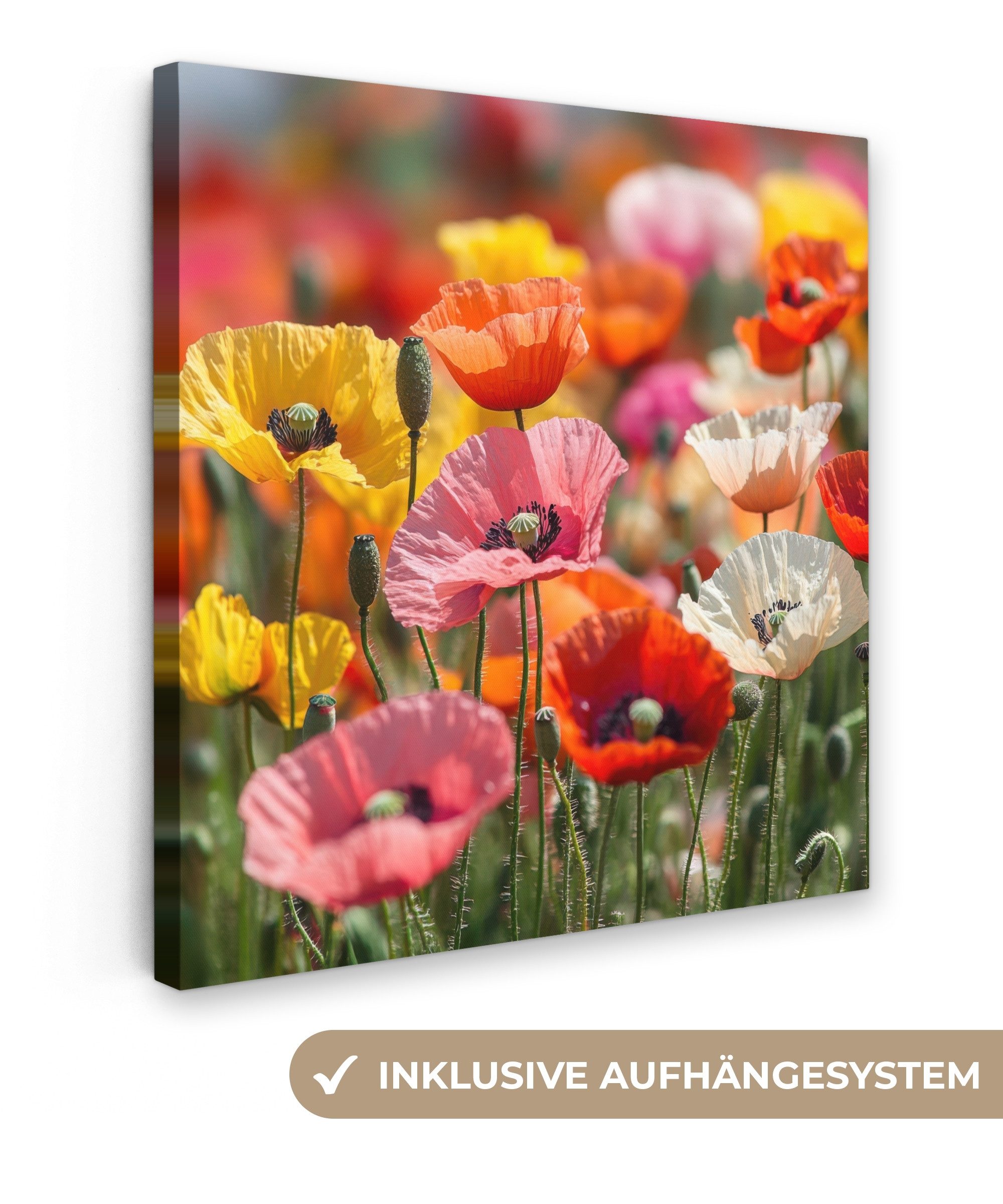 OneMillionCanvasses® Leinwandbild Blumenfeld - Mohnblumen - günstig online kaufen