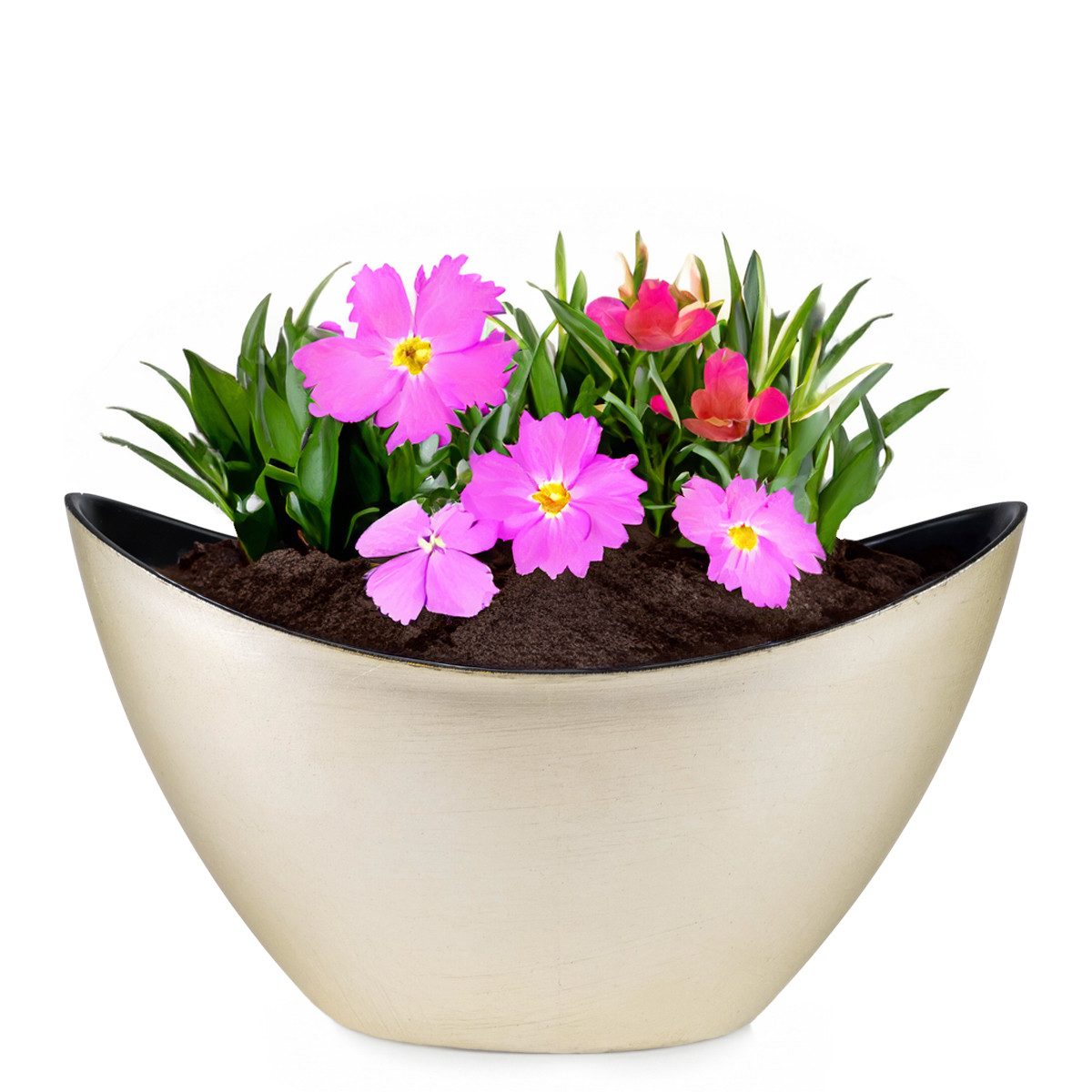 matches21 HOME & HOBBY Blumentopf Pflanzschale Jardiniere oval 20 cm Vintage gold-farben für aussen (1 St), Outdoor Schiff Deko-Schale als Blumen-Schale Pflanz-Topf Garten-Deko