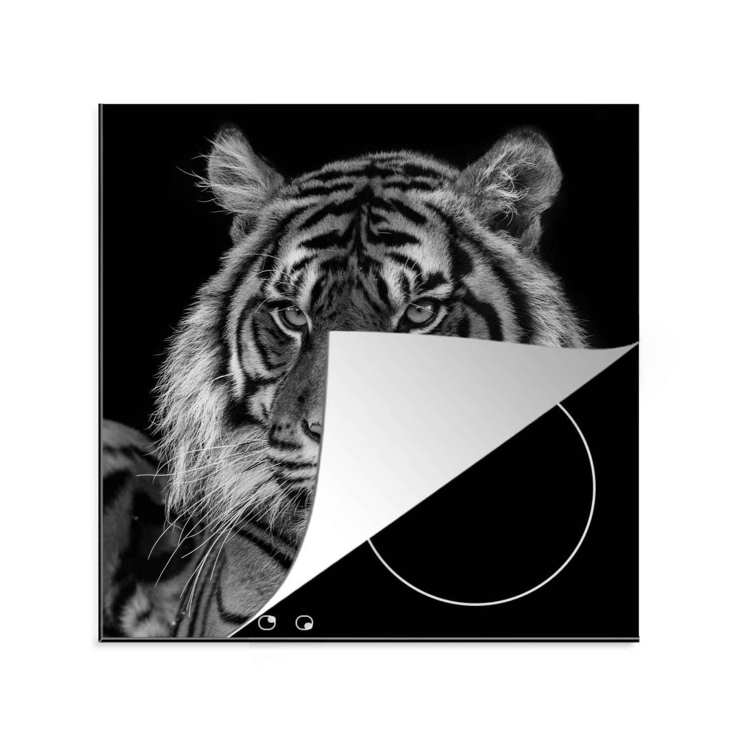 MuchoWow Herdblende-/Abdeckplatte Sumatra-Tiger auf schwarzem Hintergrund, Vinyl, (1 tlg), 78x78 cm, Ceranfeldabdeckung, Arbeitsplatte für küche