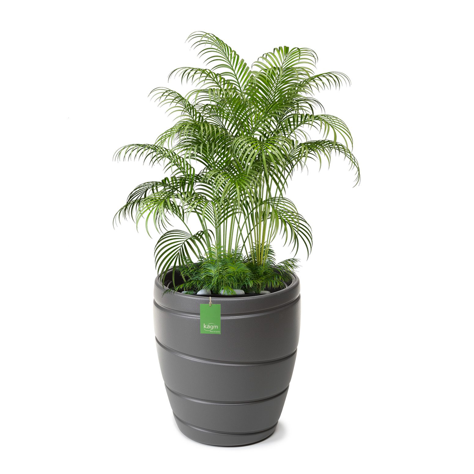 KAGM Pflanzkübel Blumenkübel Pflanzgefäß Innen & Außen versch.Größen und Fa günstig online kaufen