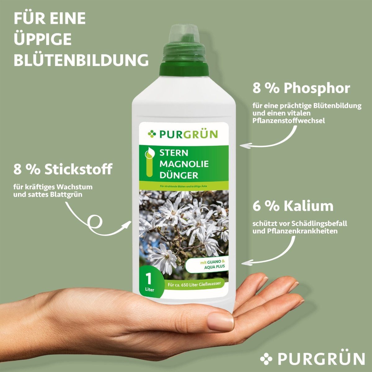 Purgrün Gartendünger Purgrün Sternmagnolie Dünger, NPK günstig online kaufen