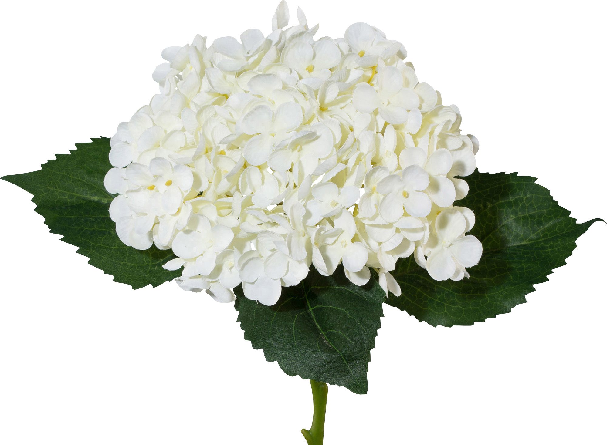 Kunstpflanze Kunstpflanze Hortensie günstig online kaufen