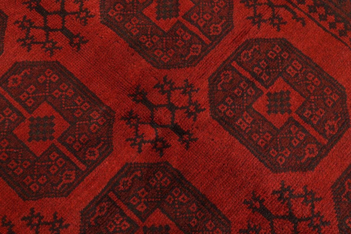 Orientteppich Afghan Akhche mm 6 145x197 Nain Höhe: Handgeknüpfter Orientteppich, rechteckig, Trading