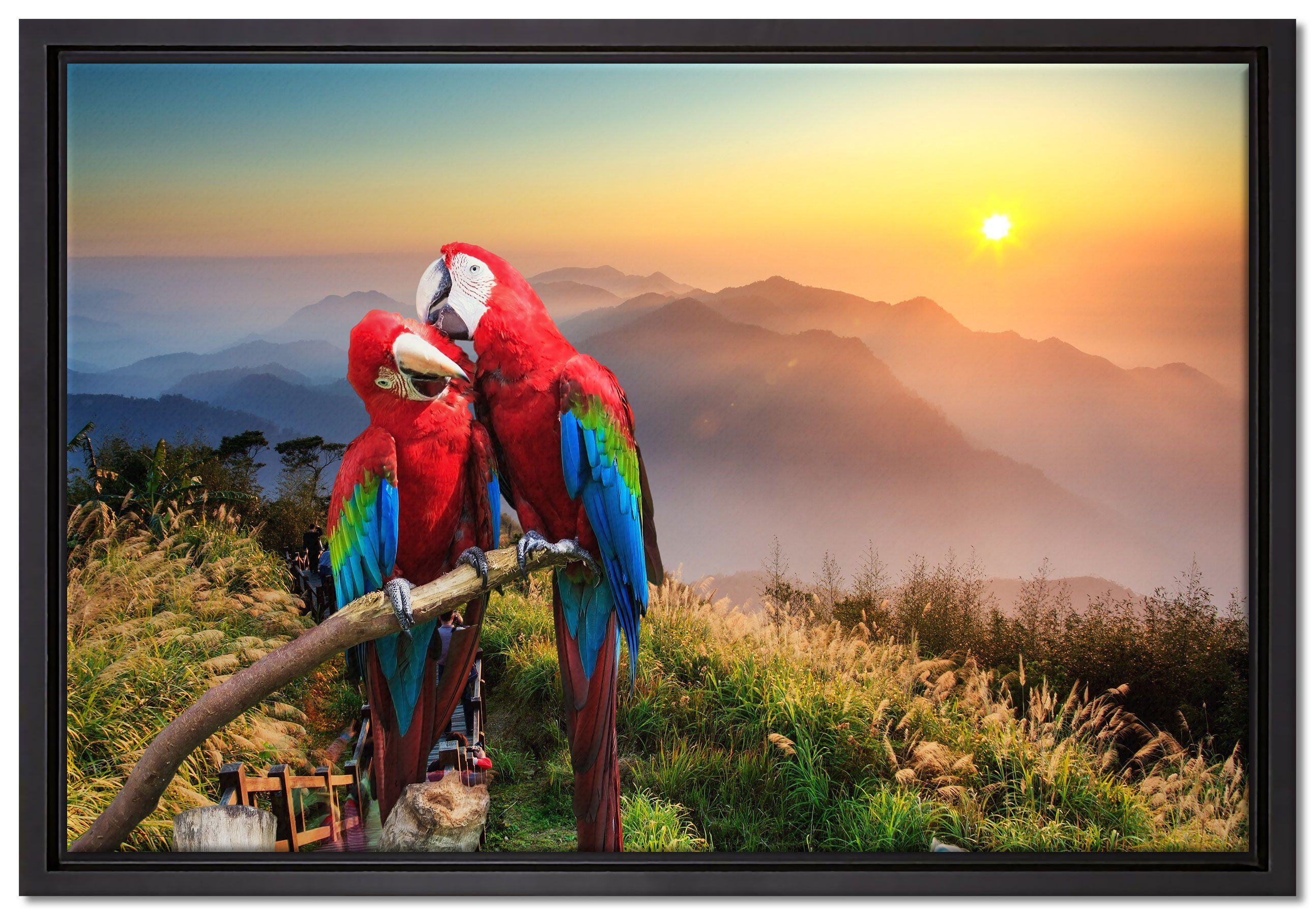 Pixxprint Leinwandbild Papageien Pärchen, Wanddekoration (1 St), Leinwandbild fertig bespannt, in einem Schattenfugen-Bilderrahmen gefasst, inkl. Zackenaufhänger